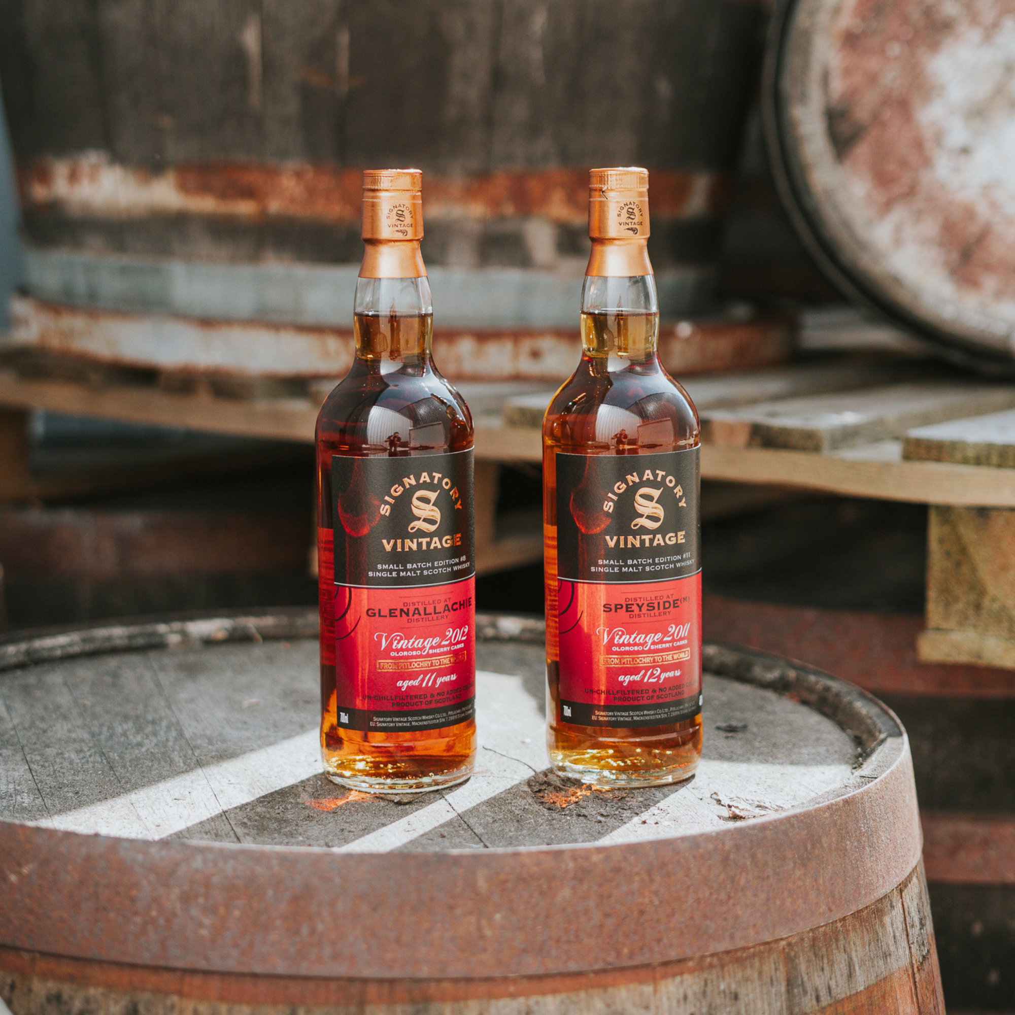 Glenallachie 2012/2024 - 11 y.o. - Signatory Small Batch Edition #8