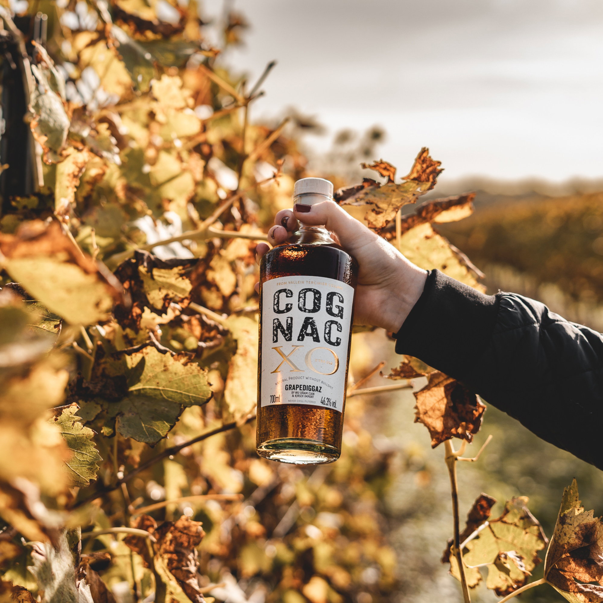 GrapeDiggaz - Cognac XO