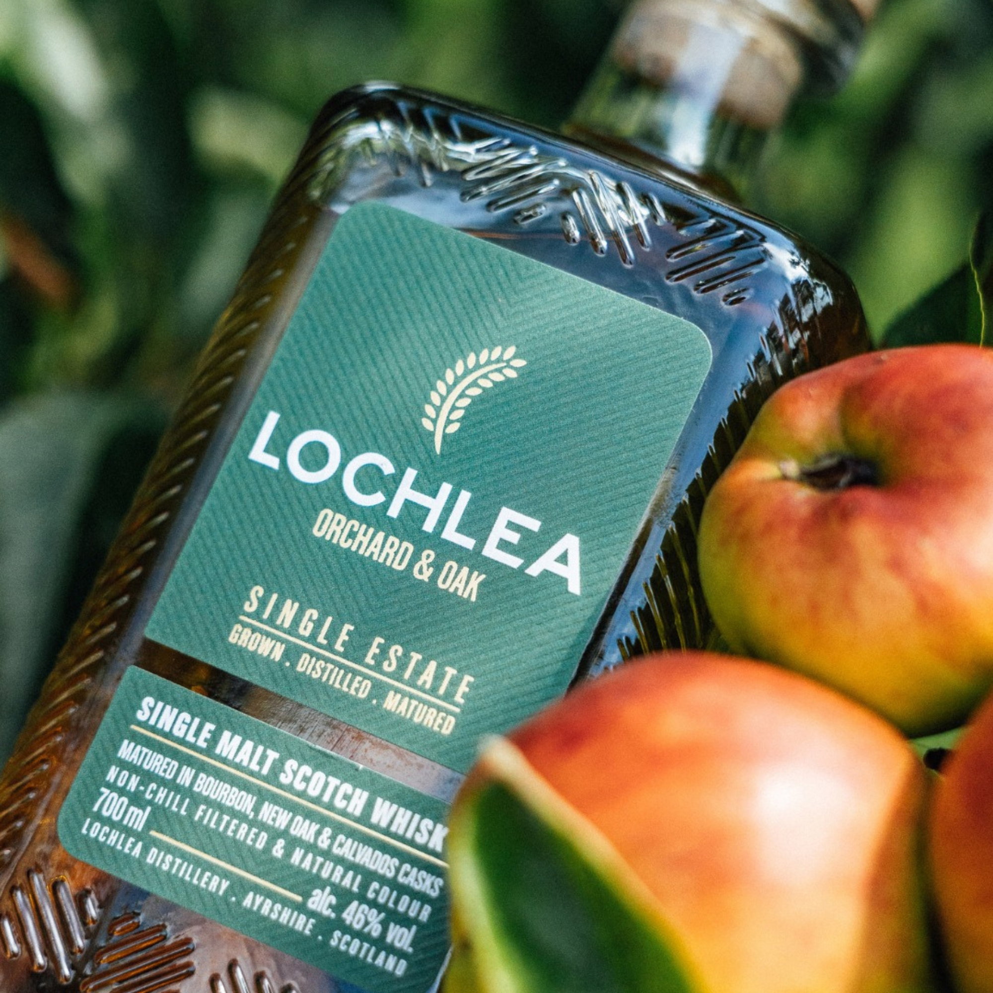 Lochlea Distillery Orchard & Oak - Bourbon, New Oak & Calvados Casks
