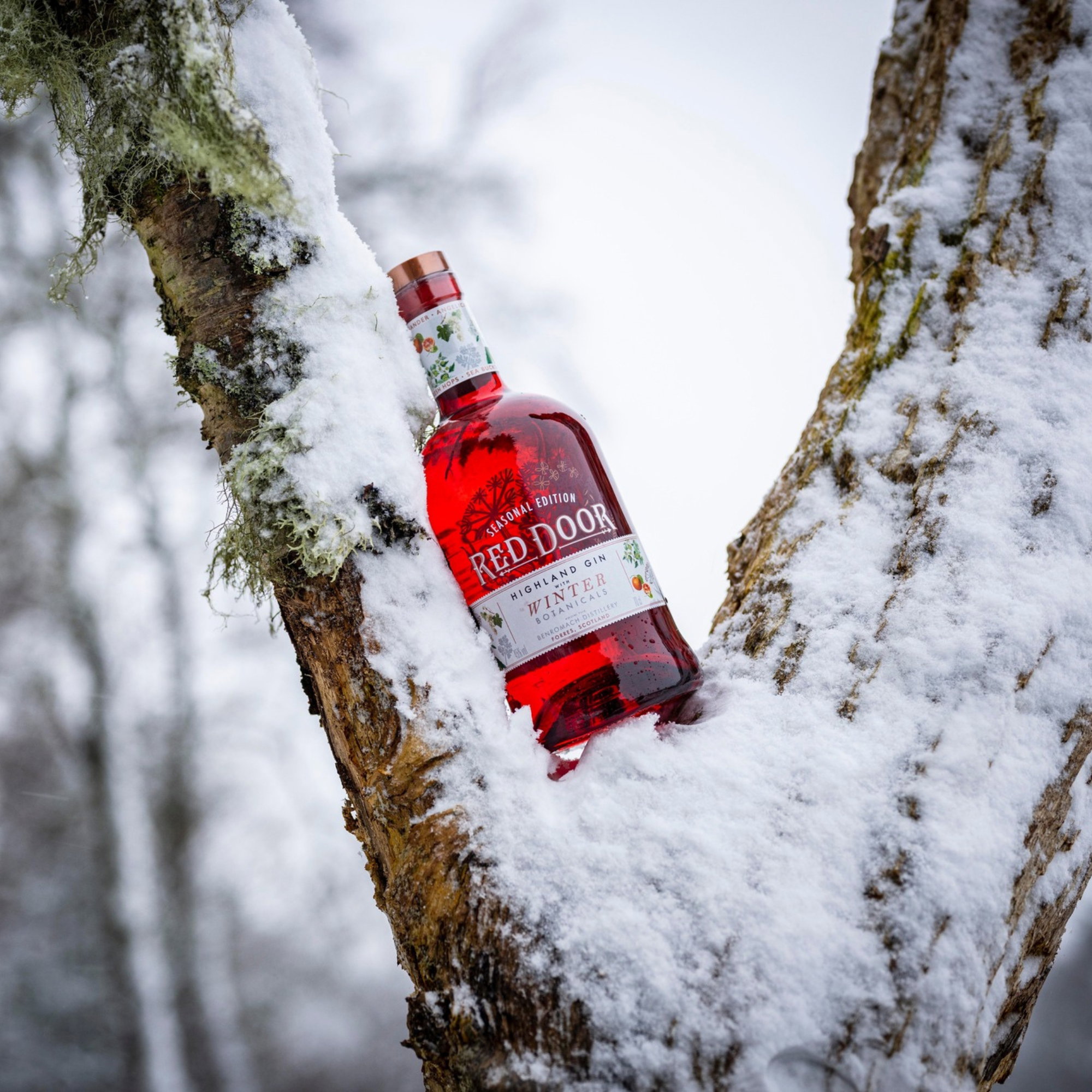 Red Door Winter Edition Highland Gin by Benromach