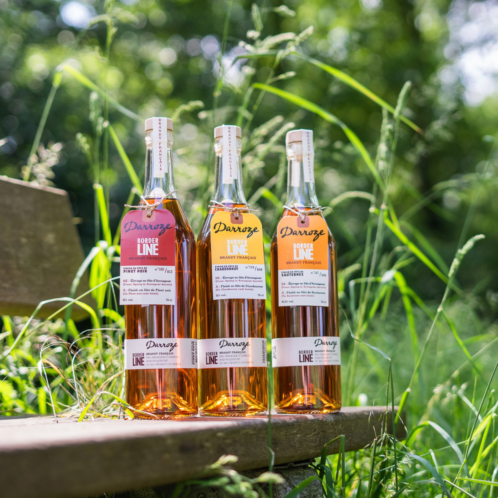 Borderline Brandy Français Pinot Noir Finish - Armagnac Darroze