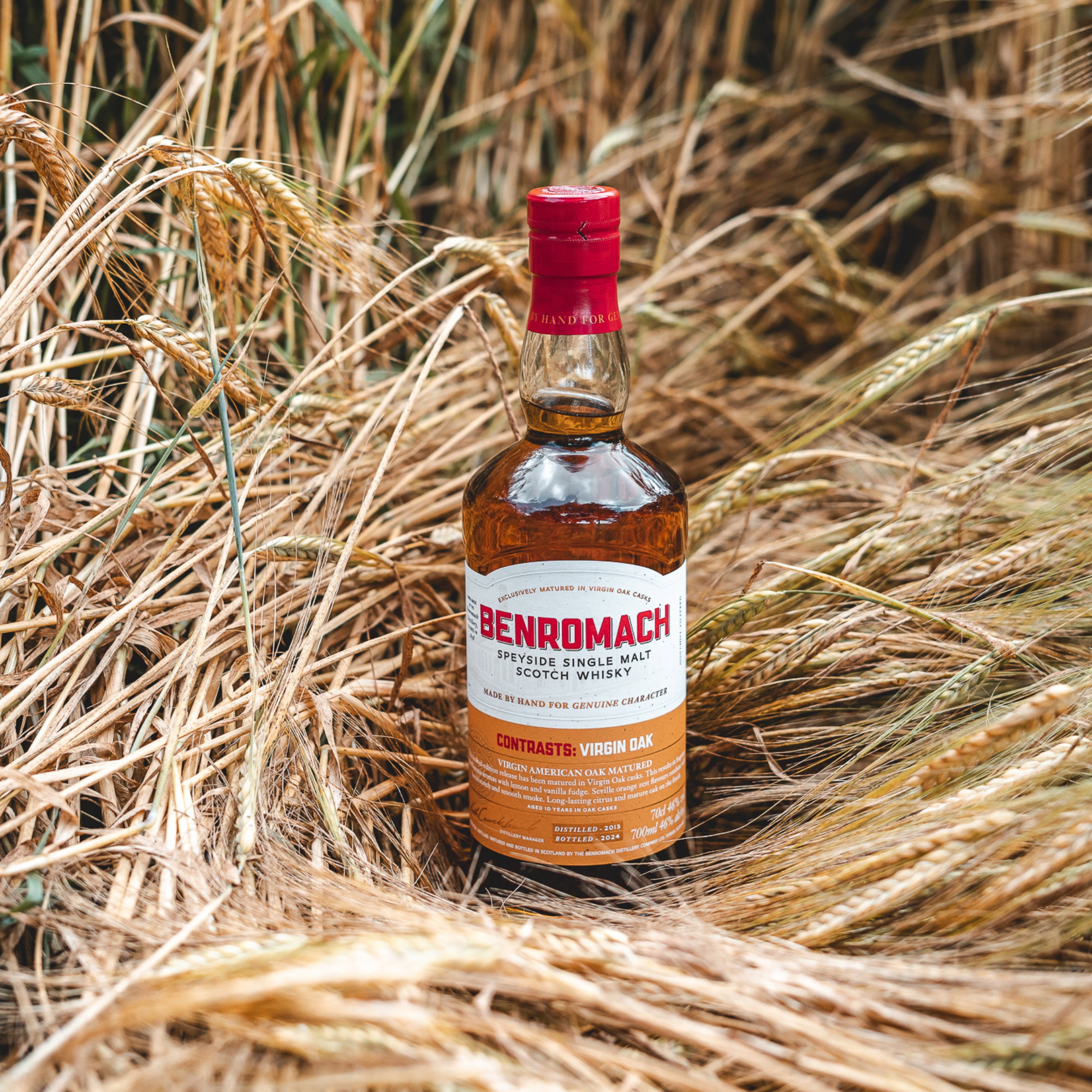 Benromach 2013/2024 - 10 y.o. - Virgin Oak