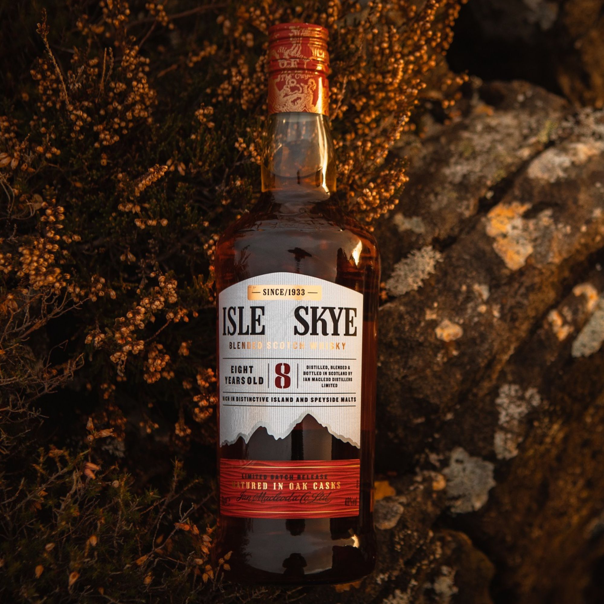 Isle of Skye 8 y.o.