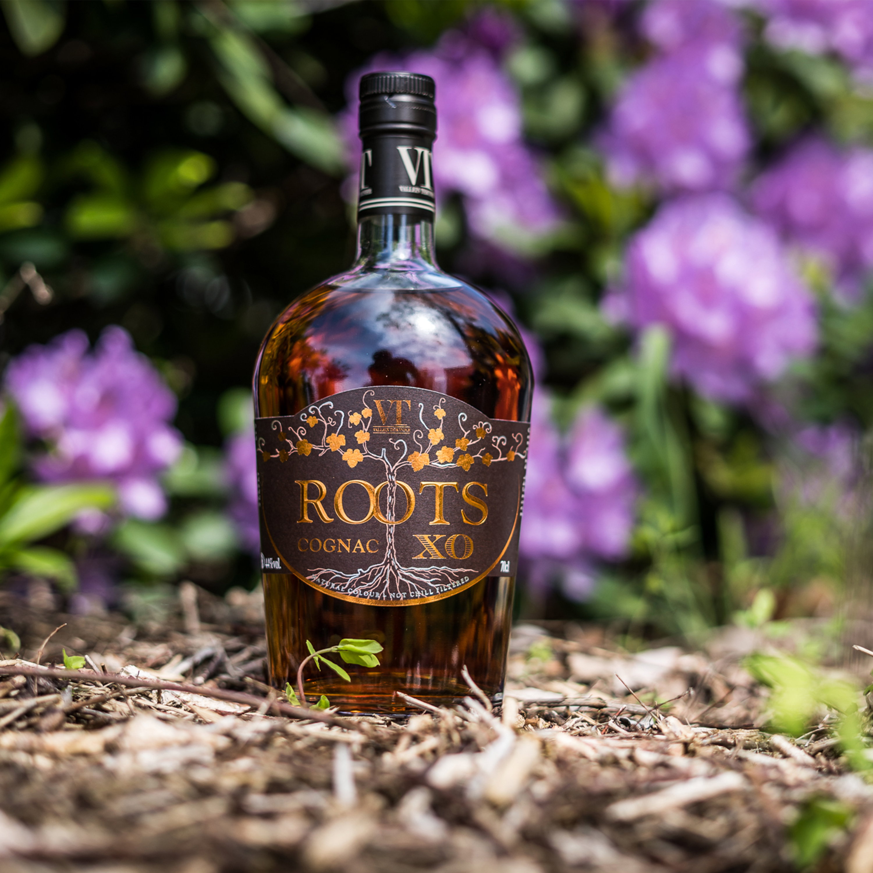 Vallein Tercinier XO Roots
