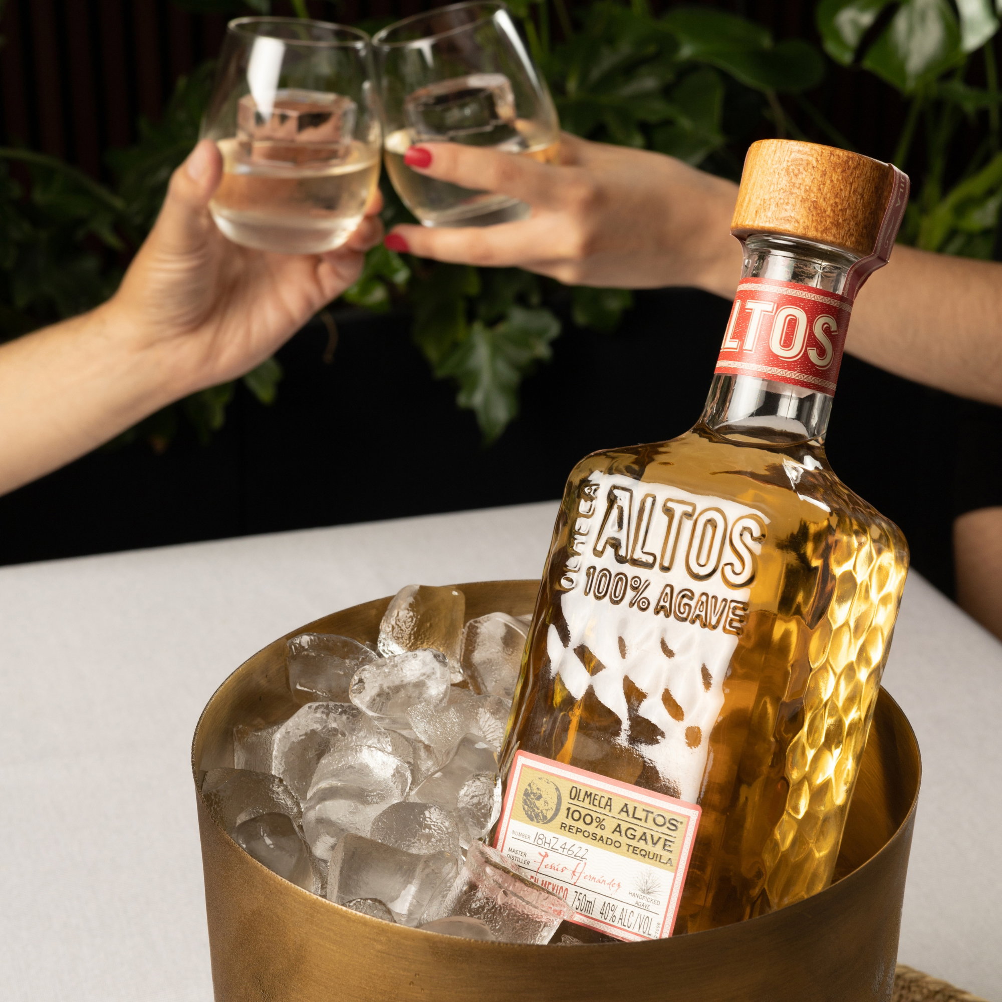 Olmeca Altos Reposado Tequila