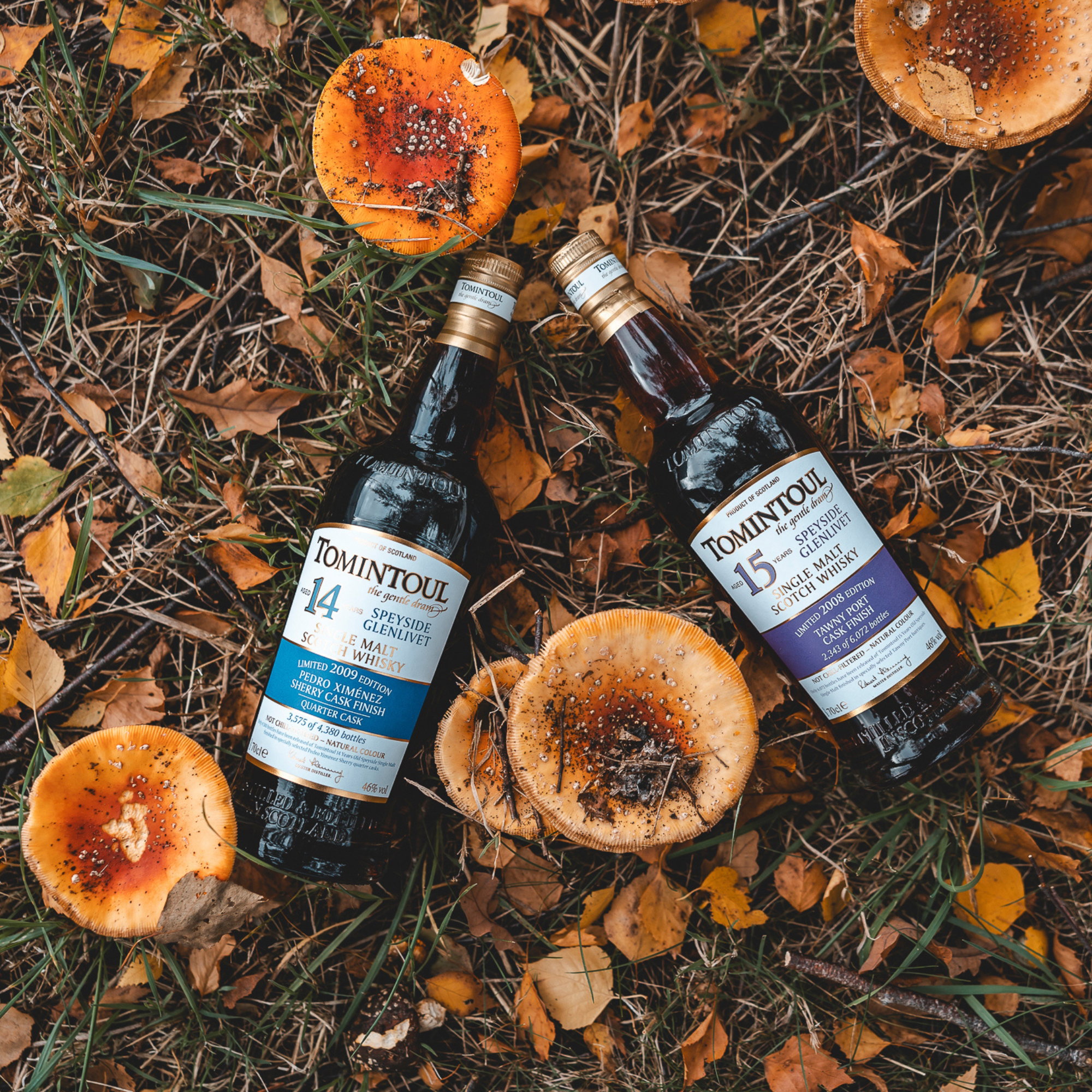 Tomintoul 2009 - 14 y.o. - PX Quarter Cask Finish