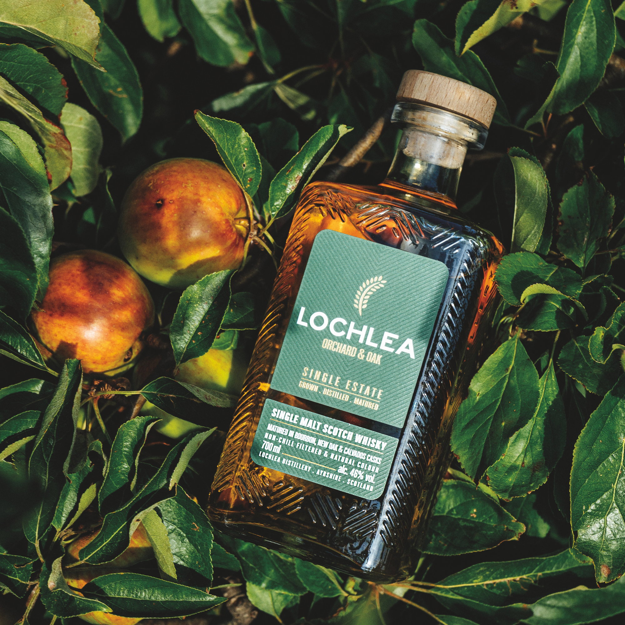 Lochlea Distillery Orchard & Oak - Bourbon, New Oak & Calvados Casks