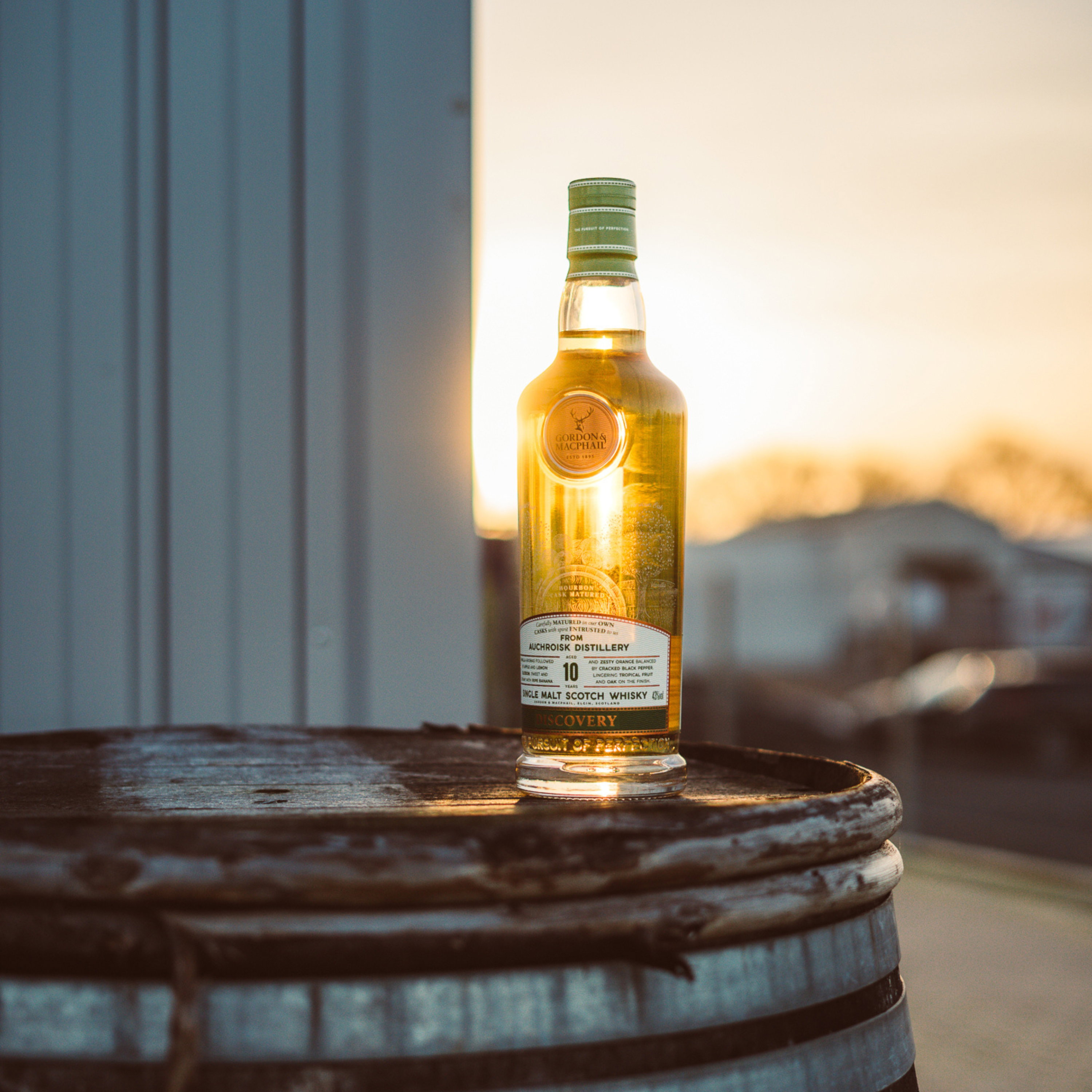 Auchroisk 10 y.o. G&M Discovery