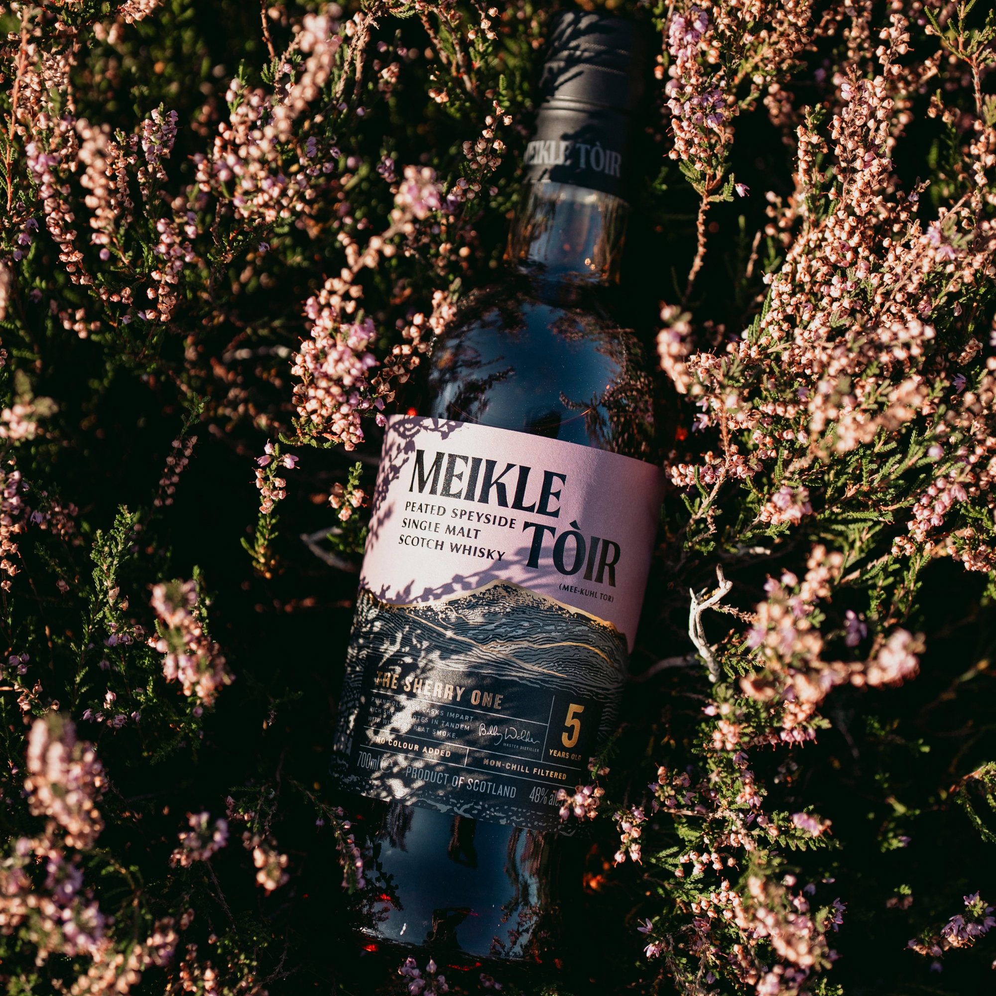 Meikle Toir 5 y.o. The Sherry One - Heavily Peated GlenAllachie