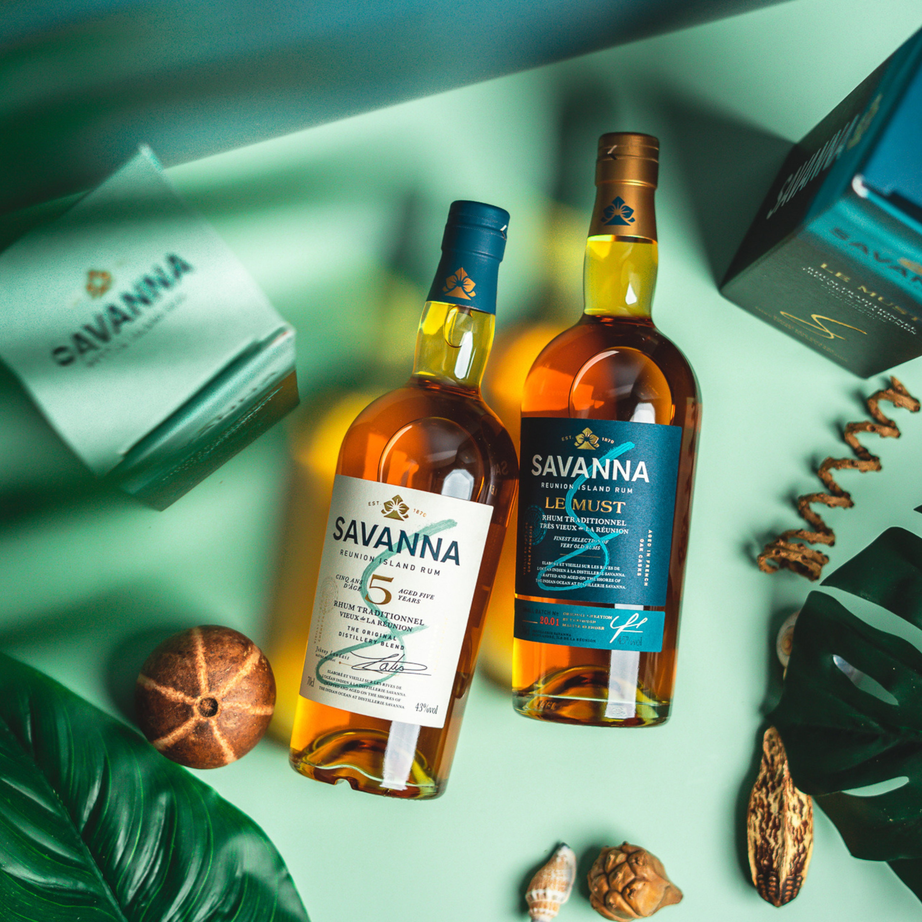 Savanna 5 y.o. Traditionnel