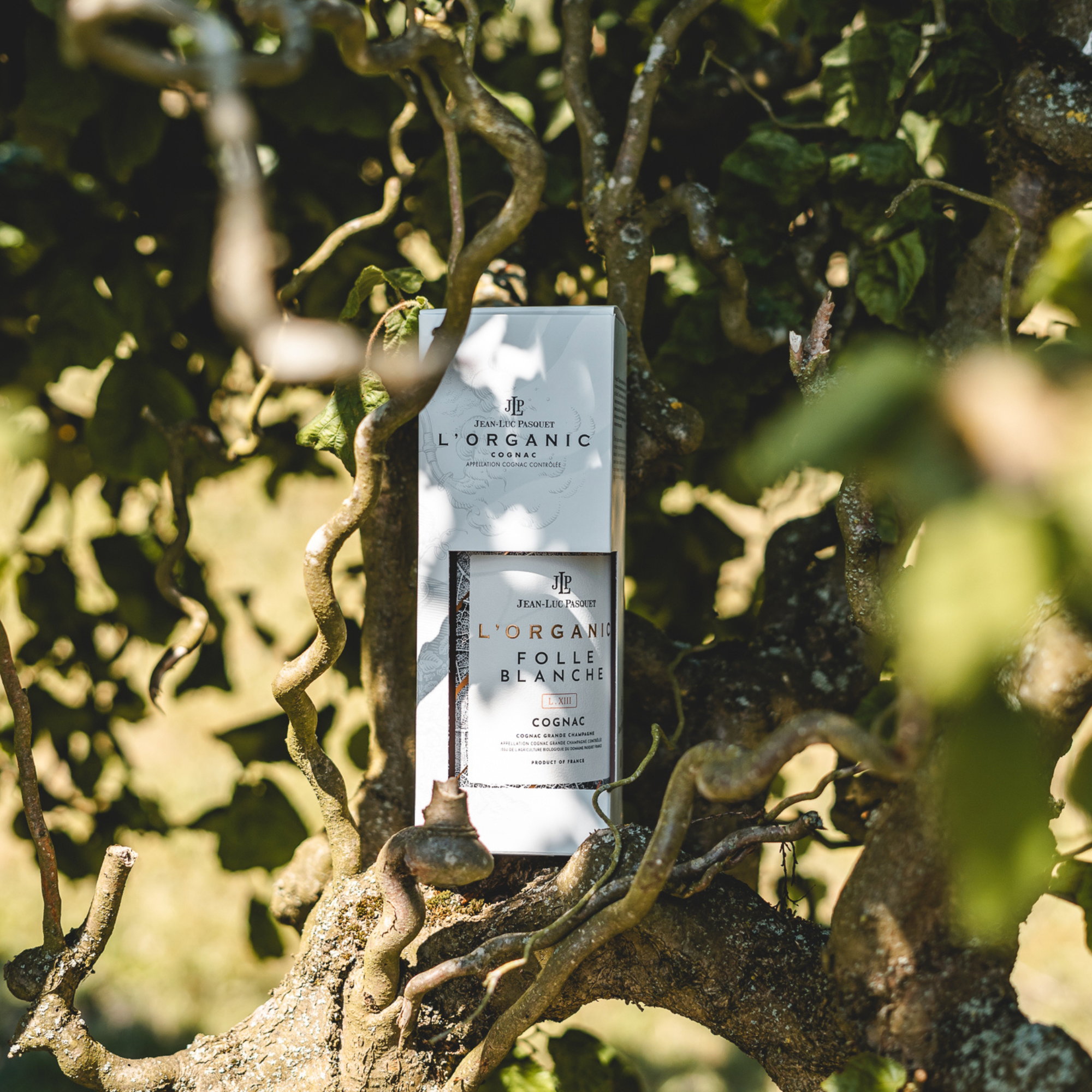 Jean-Luc Pasquet Cognac L' Organic Folle Blanche Lot XIII