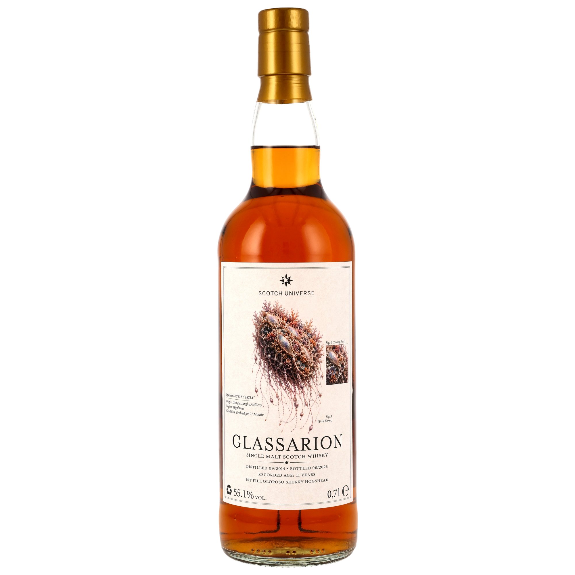 GLASSARION 2014/2026 - 11 y.o. - Single Malt - 1st Fill Oloroso Sherry Hogshead - Scotch Universe