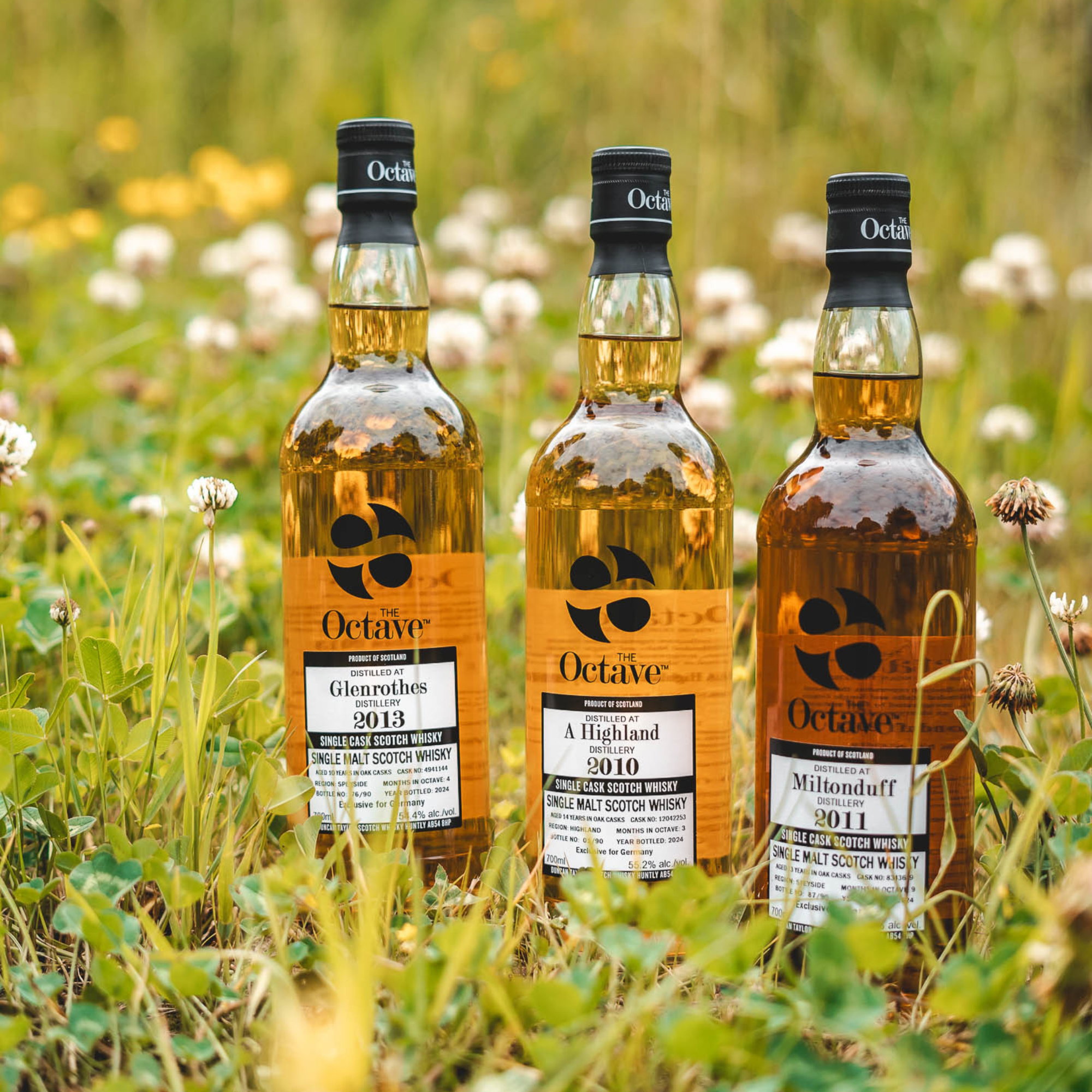 Highland Single Malt 2010/2024 - 14 y.o. - #12042253 - (Duncan Taylor)