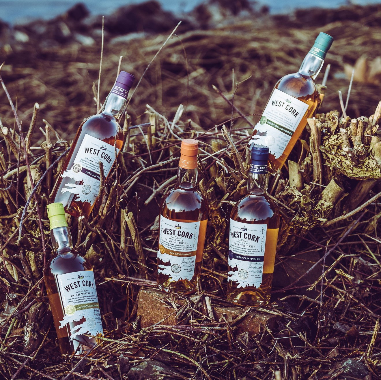 West Cork Single Malt Virgin Oak Cask Finish