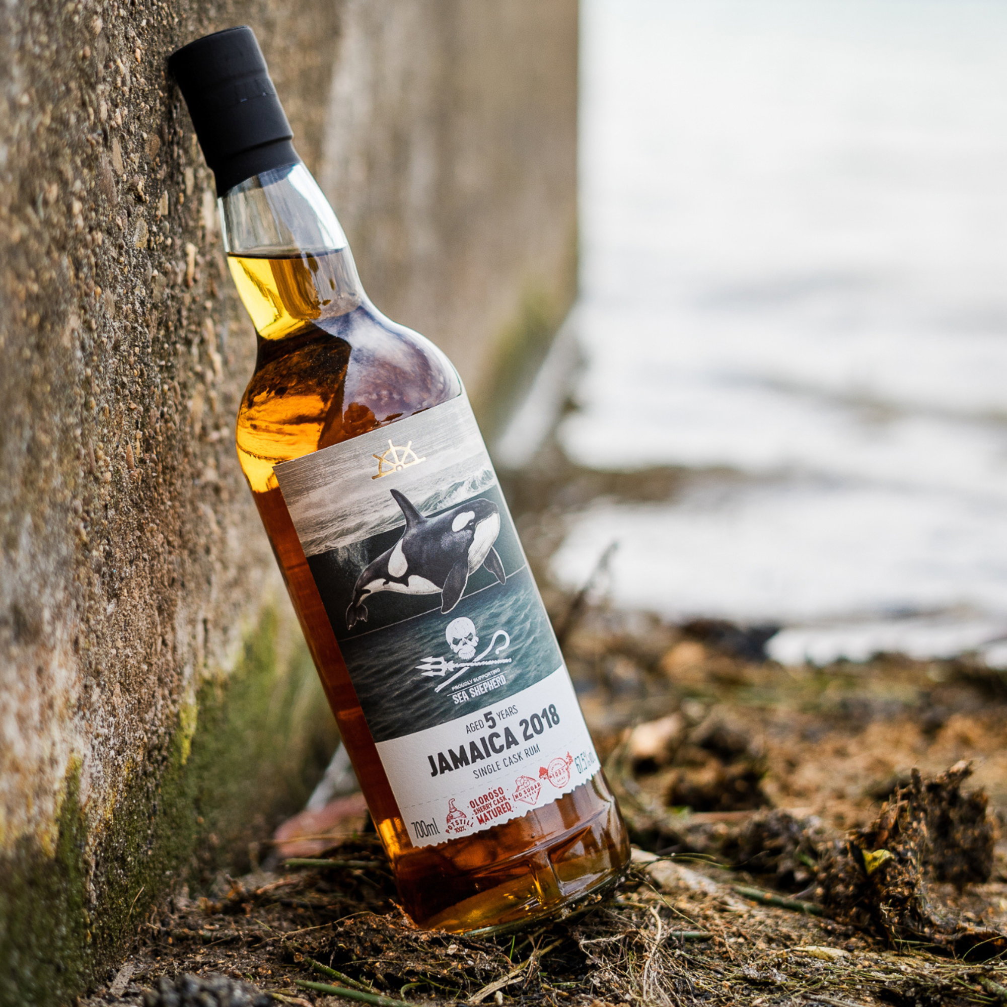 FRC - Jamaica LROK 2018/2024 - 5 y.o. - Sea Shepherd