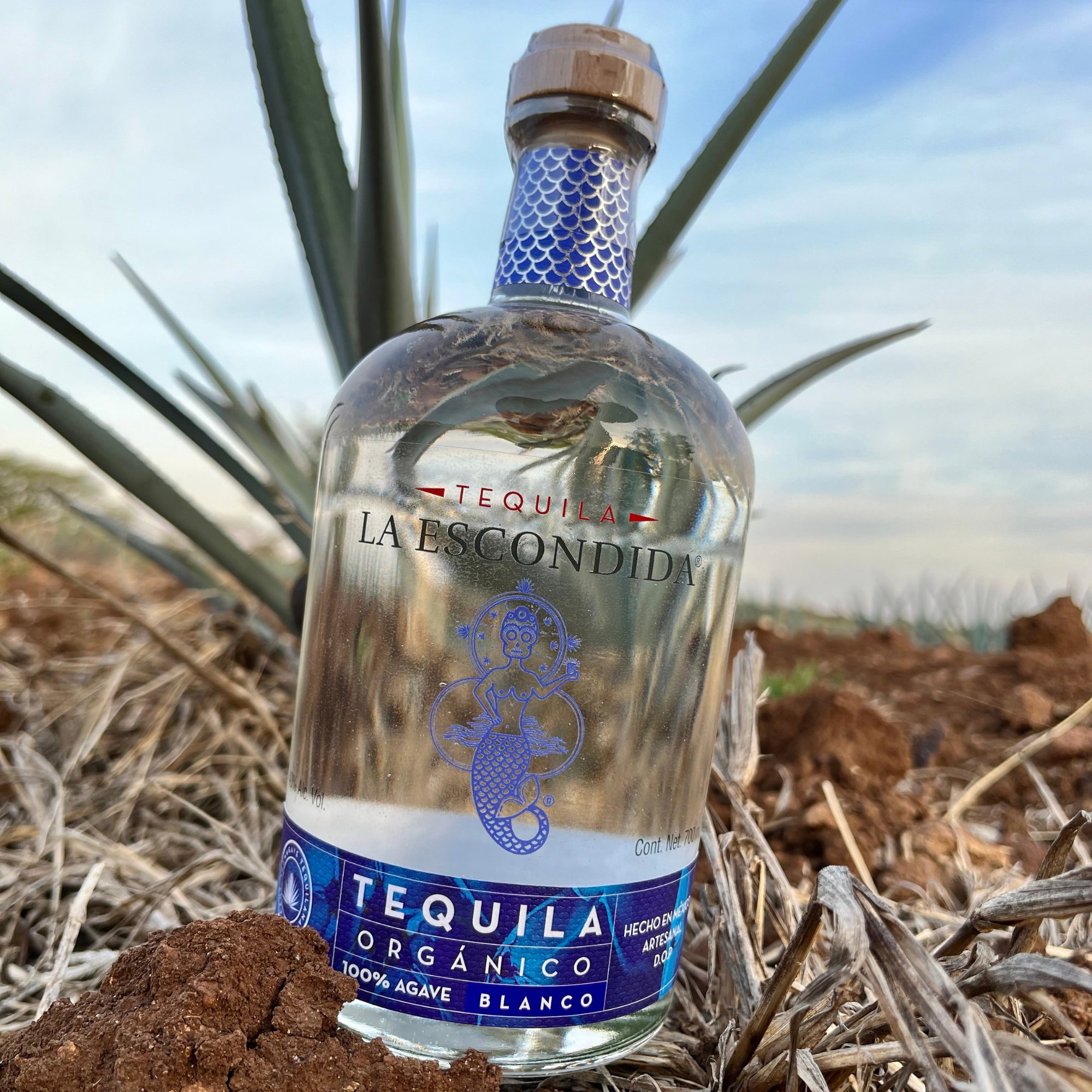 La Escondida Tequila Blanco - Organico