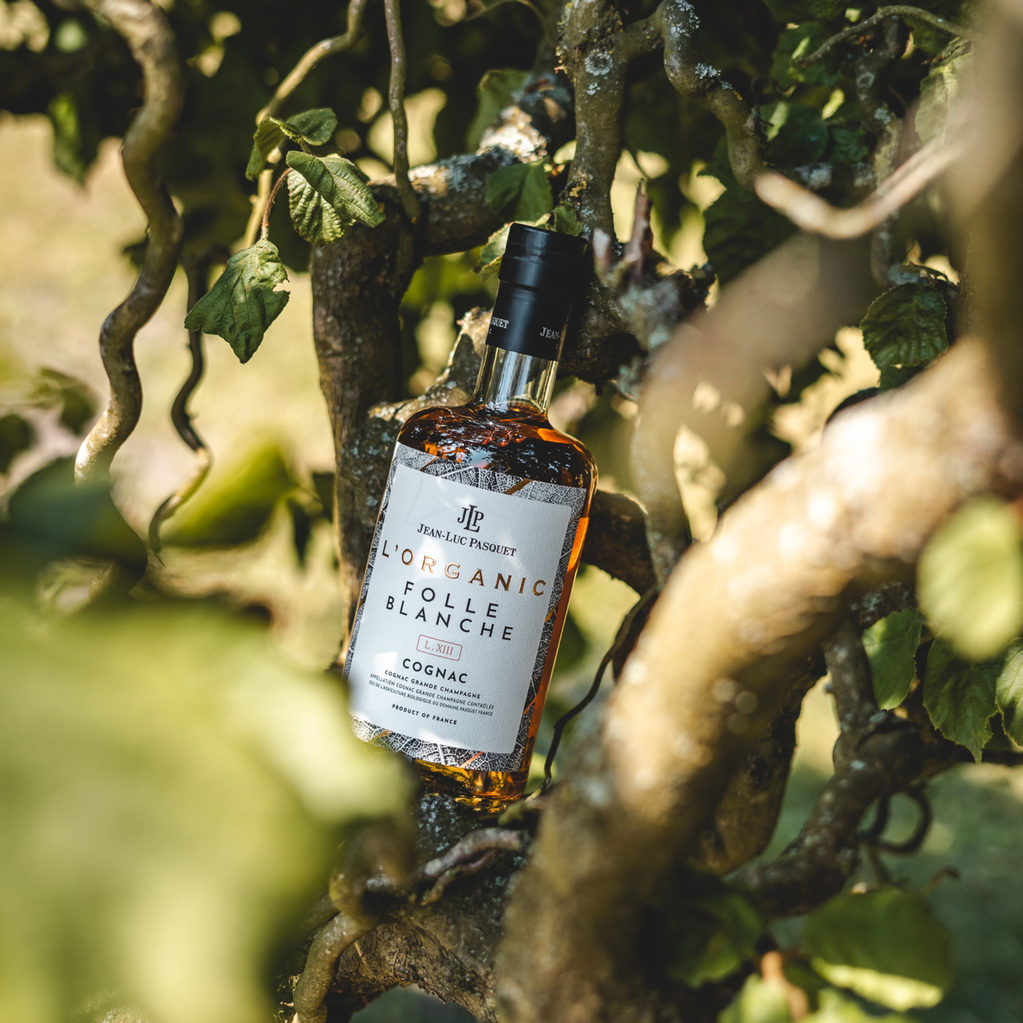 Jean-Luc Pasquet Cognac L' Organic Folle Blanche Lot XIII