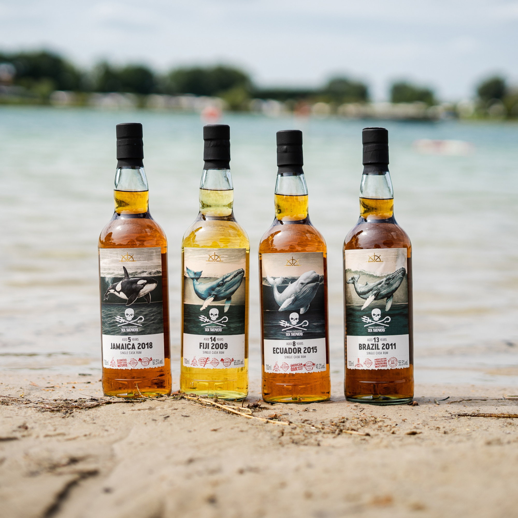 FRC - Jamaica LROK 2018/2024 - 5 y.o. - Sea Shepherd