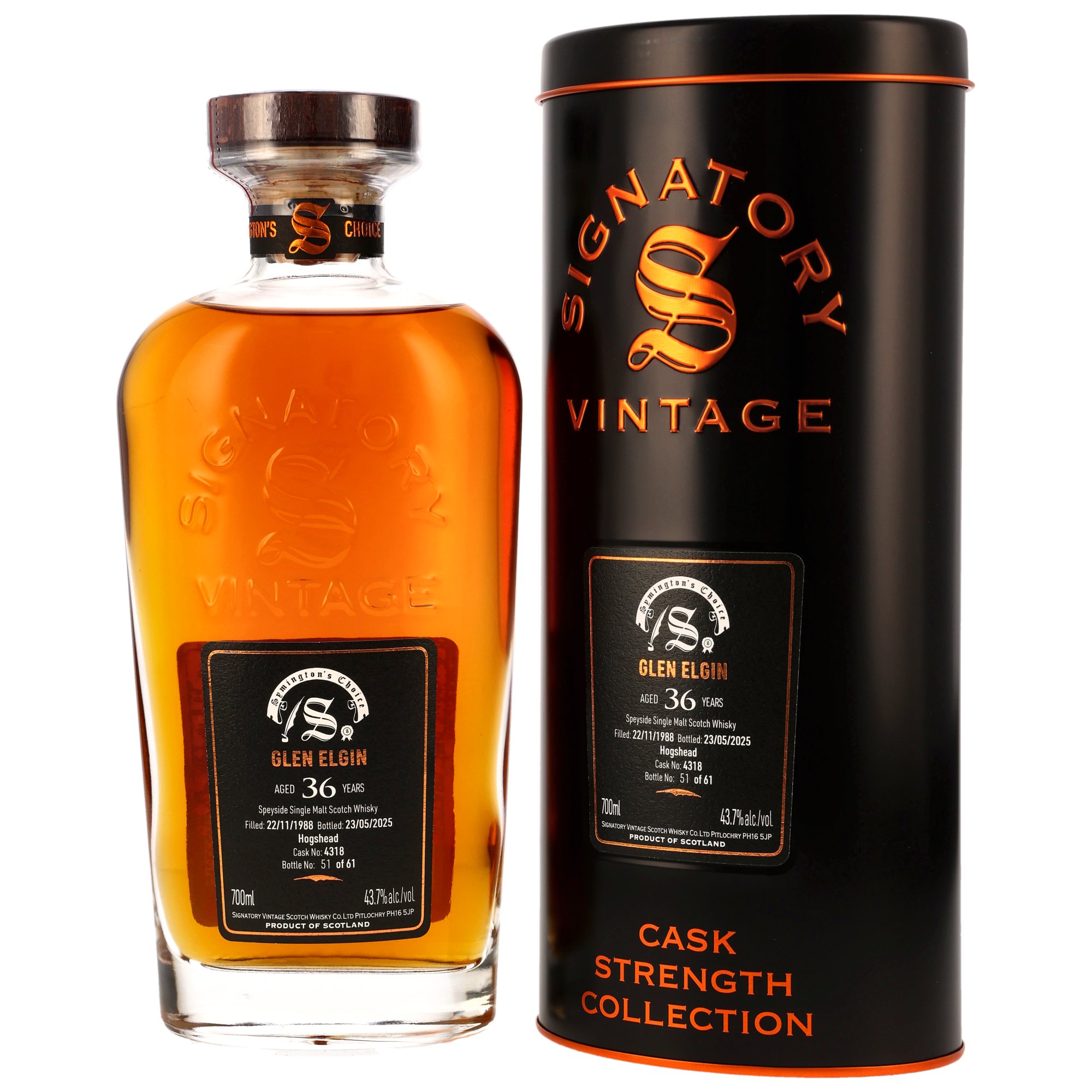 Glen Elgin 1988/2025 - 36 y.o. - Hogshead #4318 - Signatory Symingtons Choice