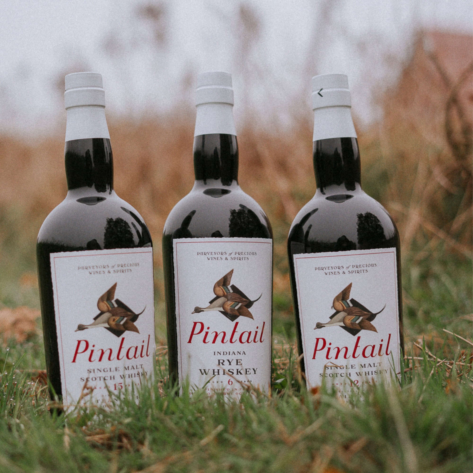 Pintail Blair Athol 12 y.o. - Marsala Cask Finish #4011 (The Whisky Cellar)