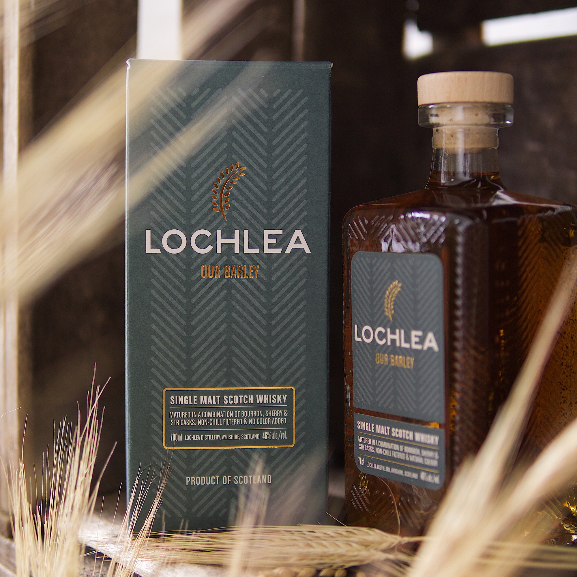 Lochlea Distillery Our Barley