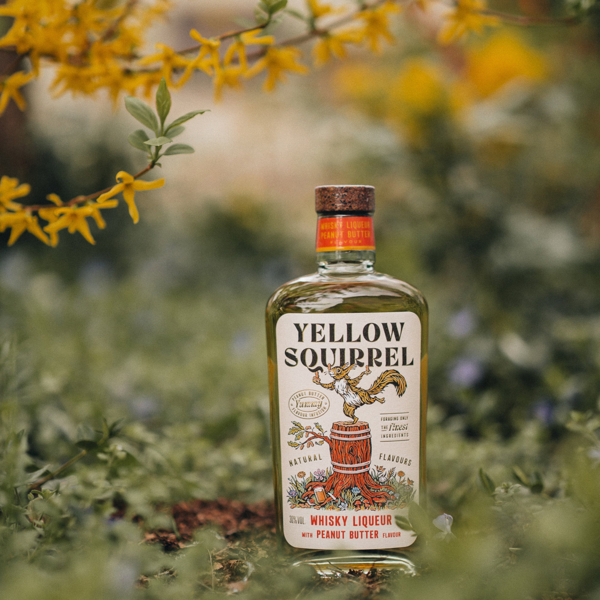 Yellow Squirrel Peanut Butter Whisky Liqueur (Erdnussbutter Likör)