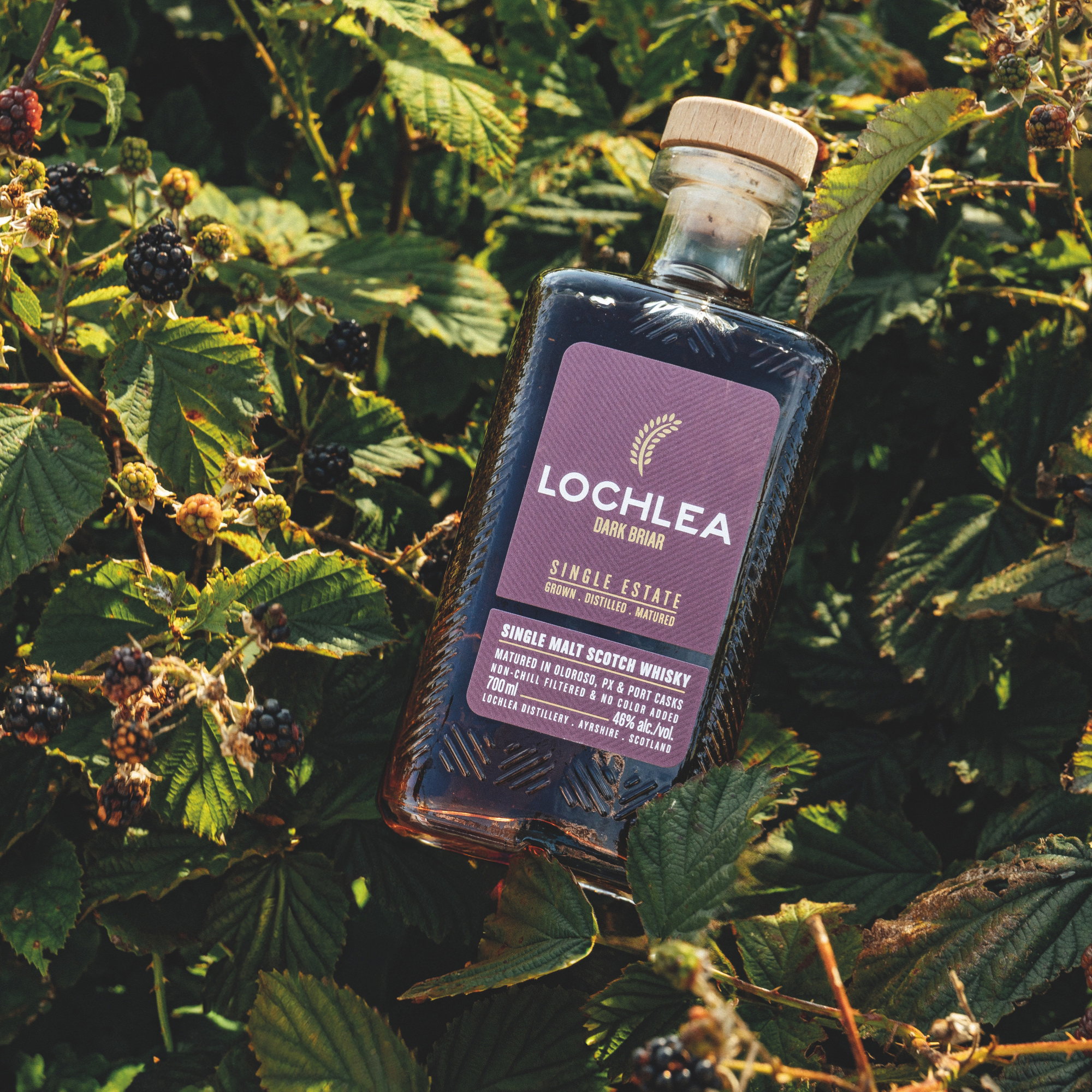 Lochlea Distillery Dark Briar - Oloroso, PX Sherry & Port Casks