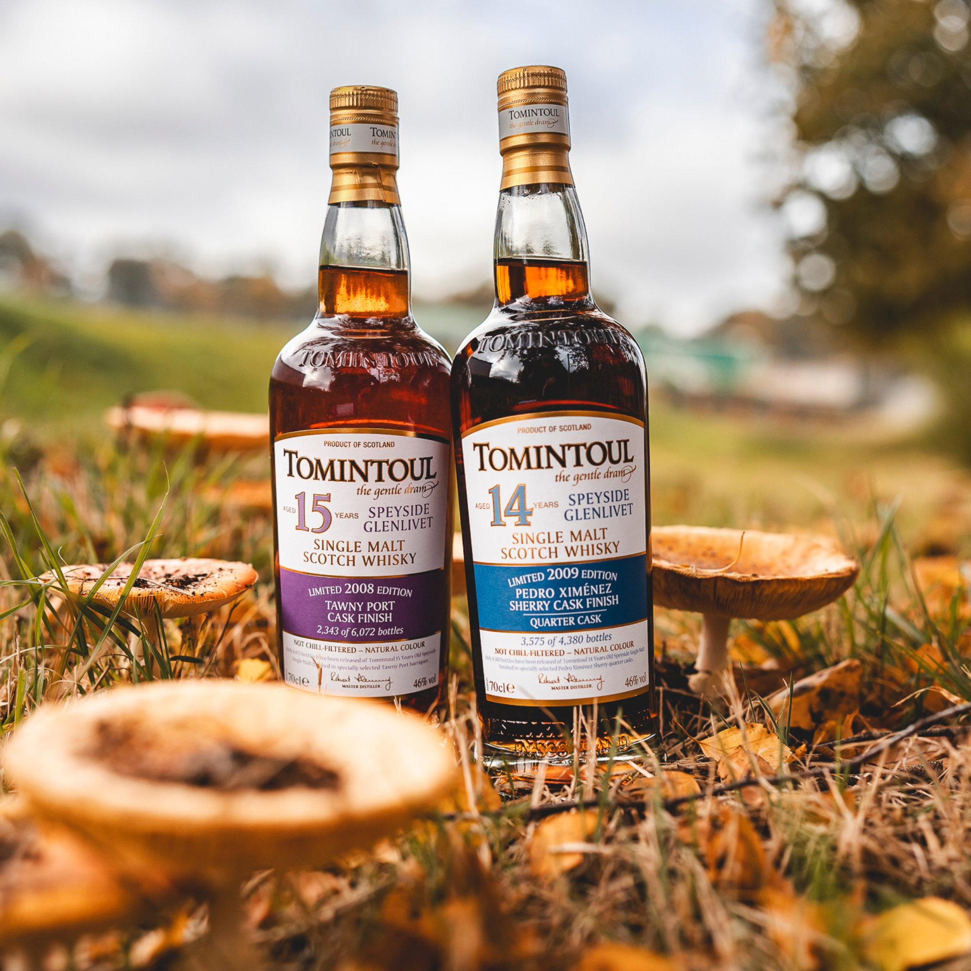 Tomintoul 2008 - 15 y.o. - Tawny Port Cask Finish