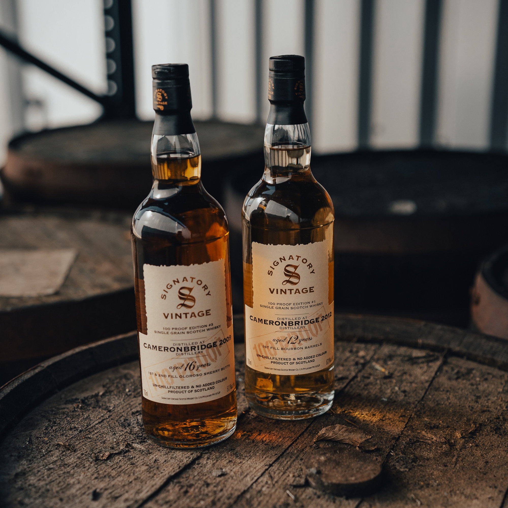 Cameronbridge 2009/2025 - 16 y.o. - Signatory 100 PROOF Grain Edition #3