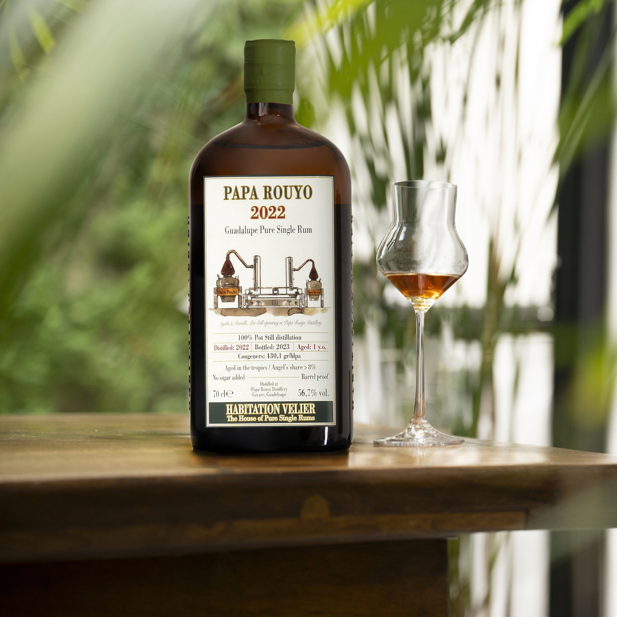 PAPA ROUYO 2022/2023 - Habitation Velier