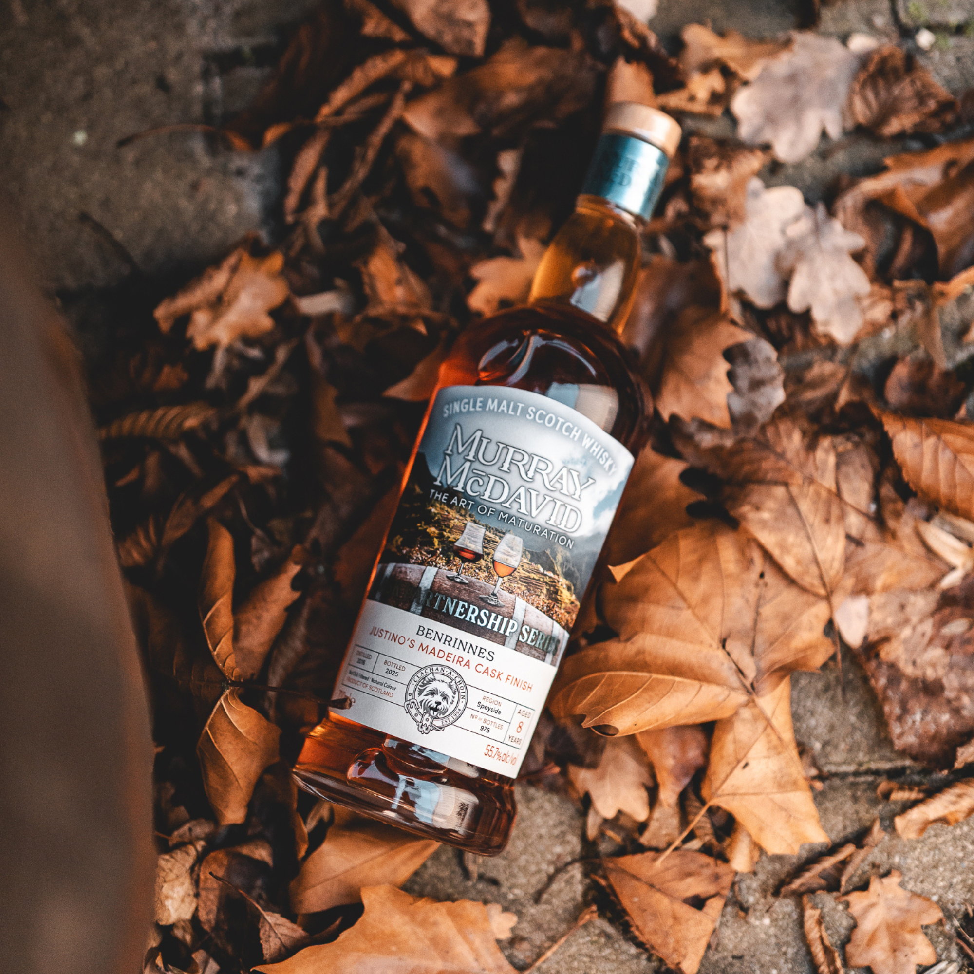 Benrinnes 2016/2025 - 8 y.o. - Madeira - Cask Partnership - Murray McDavid