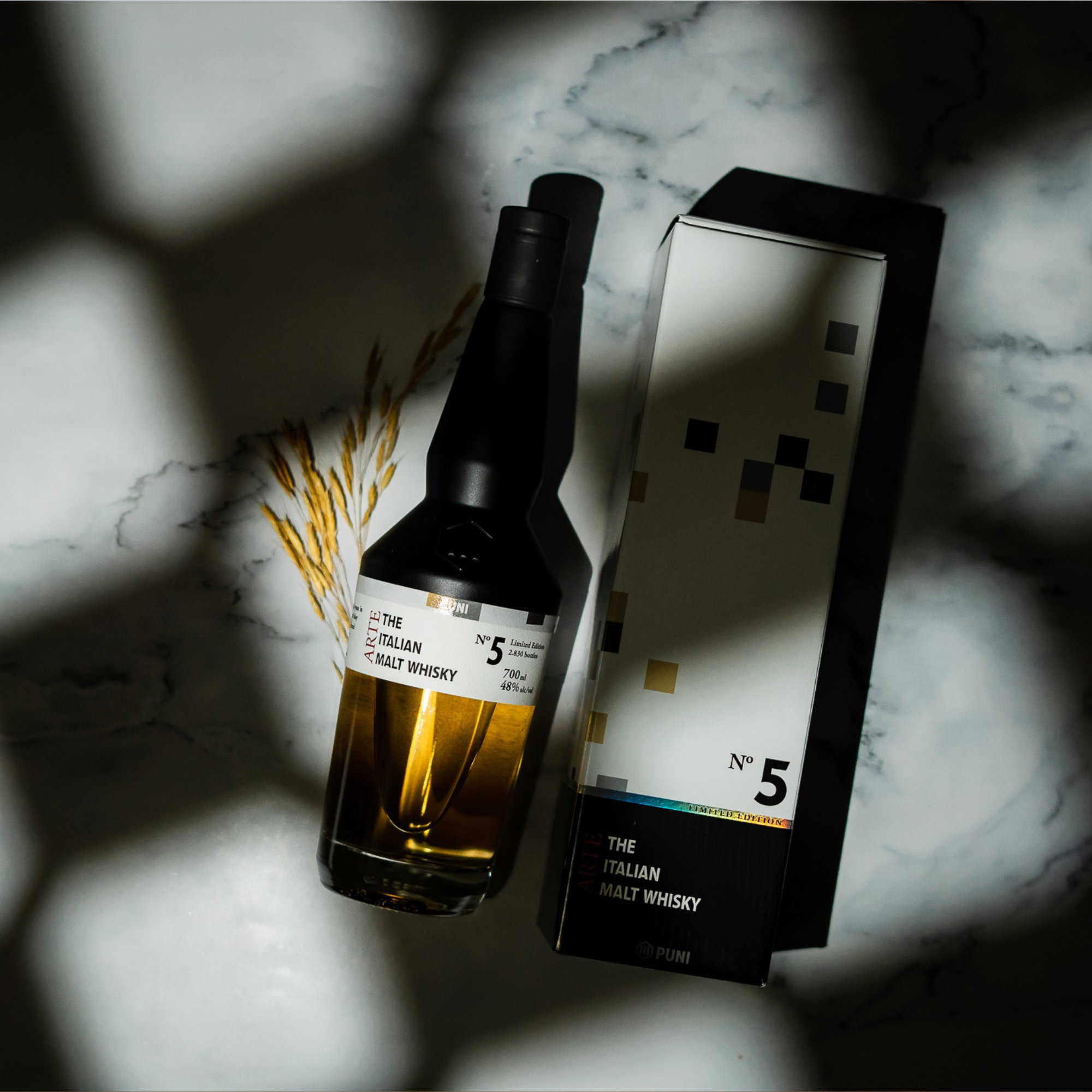 Puni Arte No 5 - 6 y.o.