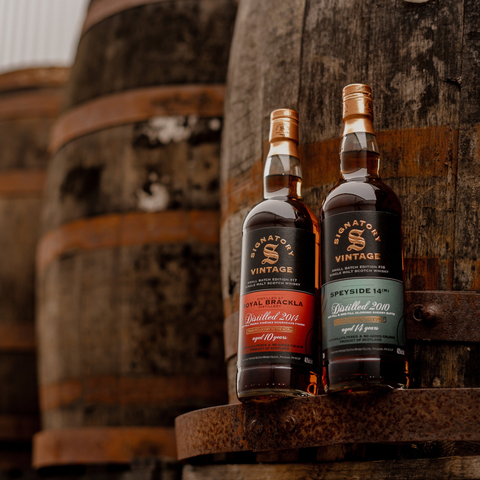 Royal Brackla 2014/2025 - 10 y.o. - Signatory Small Batch Edition #17