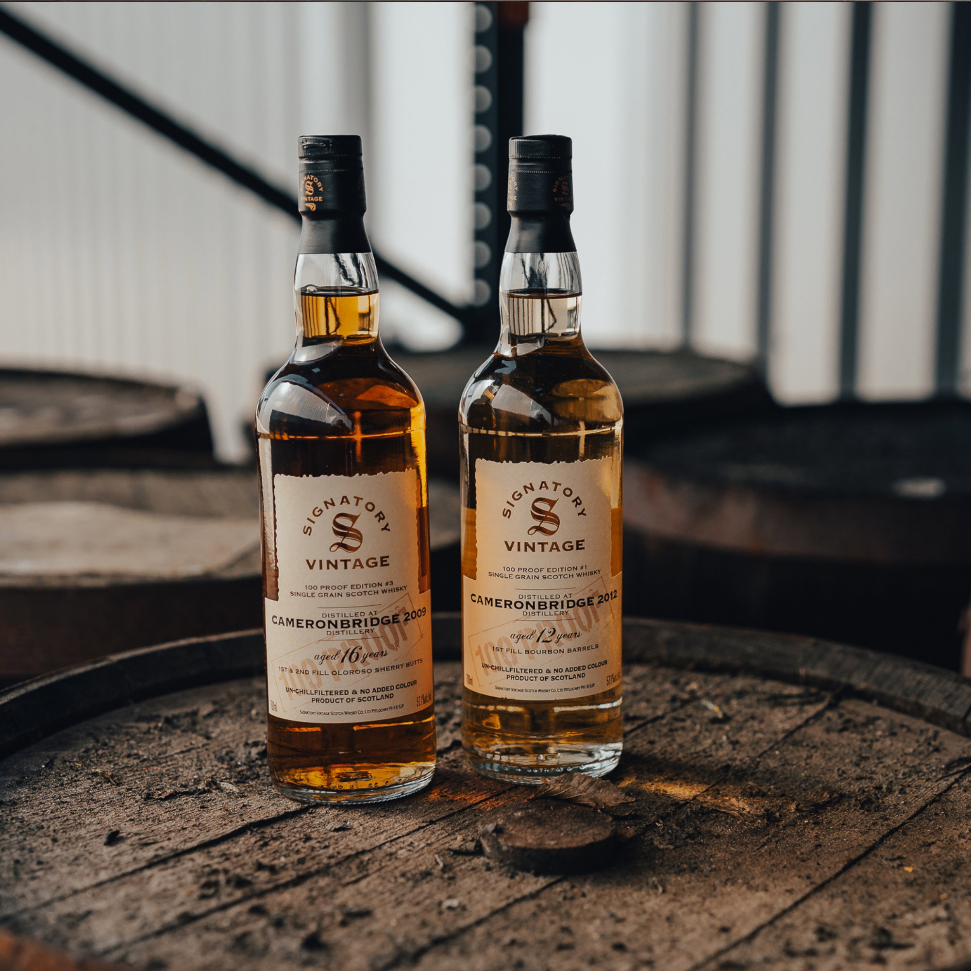 Cameronbridge 2012/2025 - 12 y.o. - Signatory 100 PROOF Grain Edition #1