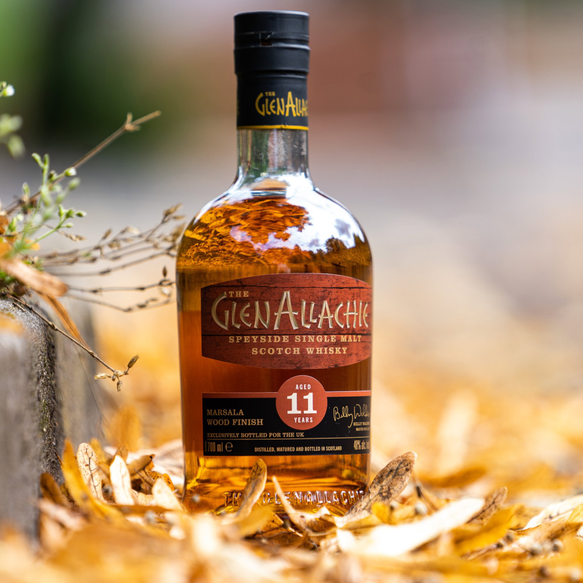 GlenAllachie 11 y.o. Marsala Wood Finish