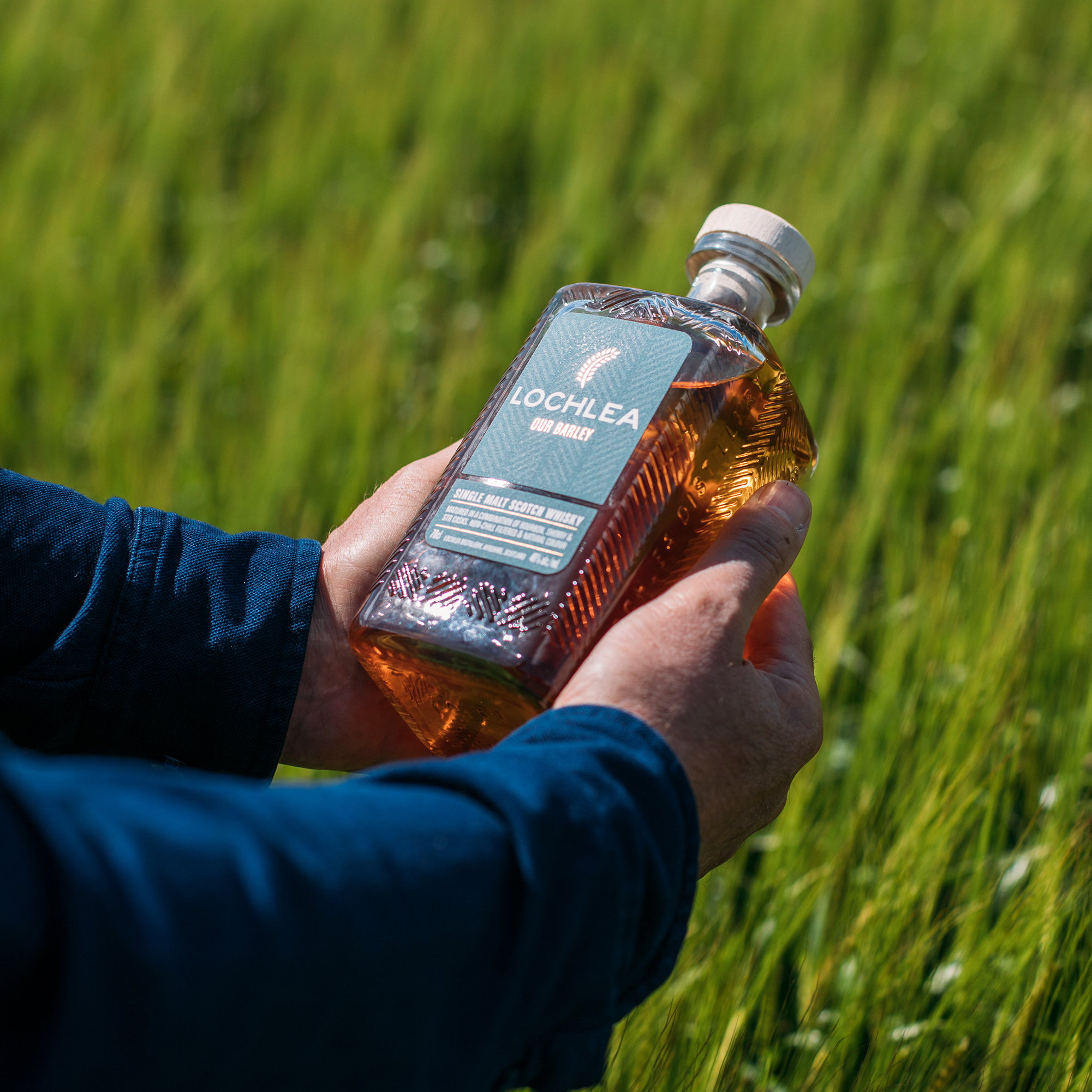 Lochlea Distillery Our Barley