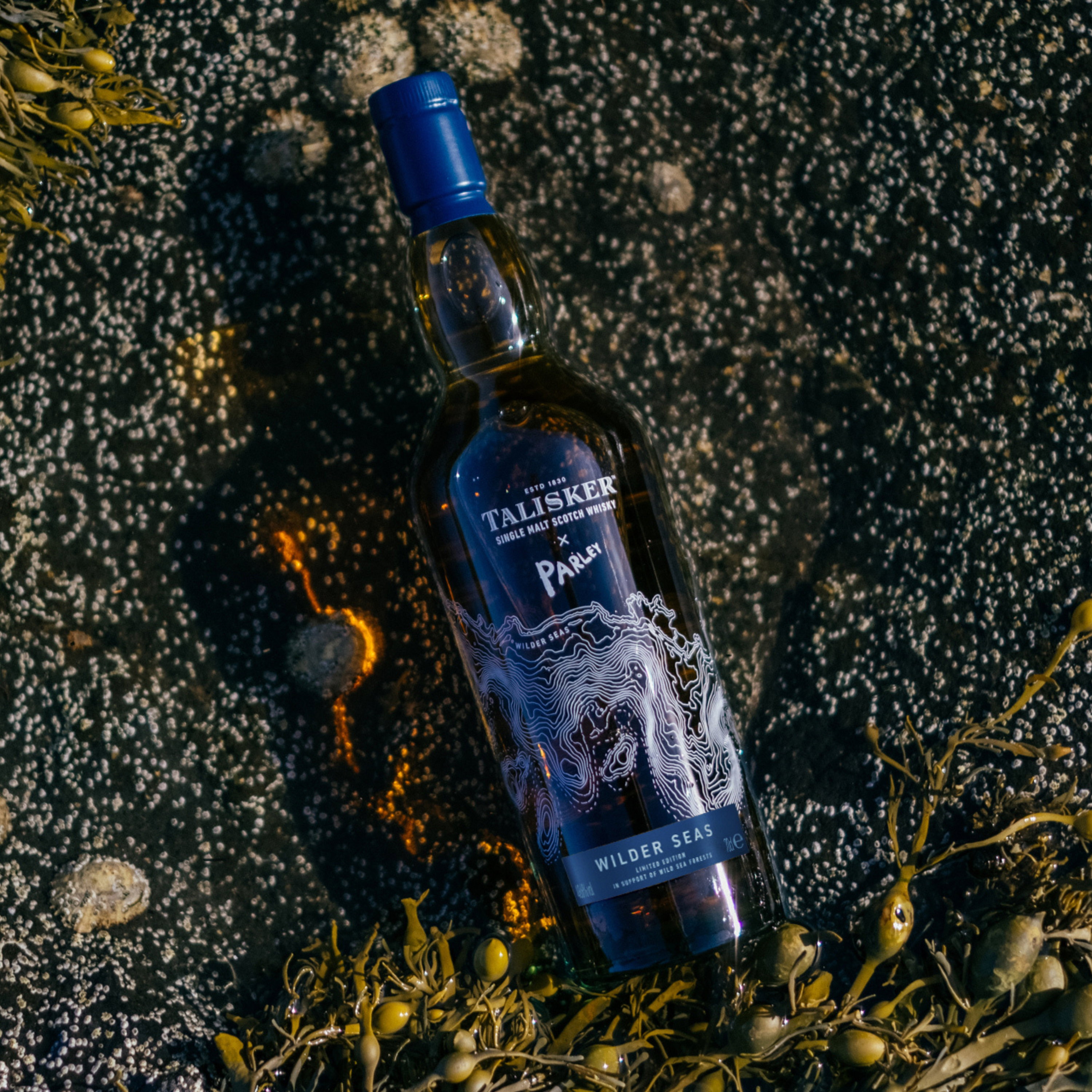 Talisker Wilder Seas X Parley