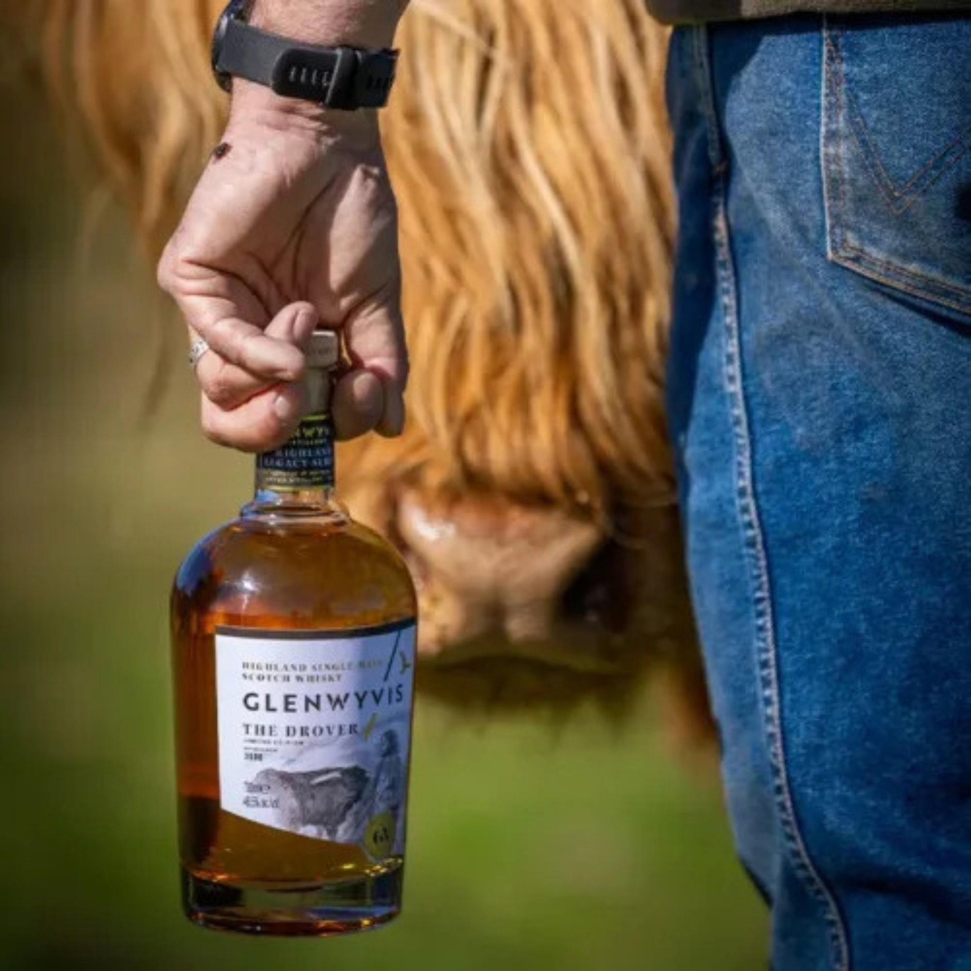 GlenWyvis The Drover - Highland Legacy Series