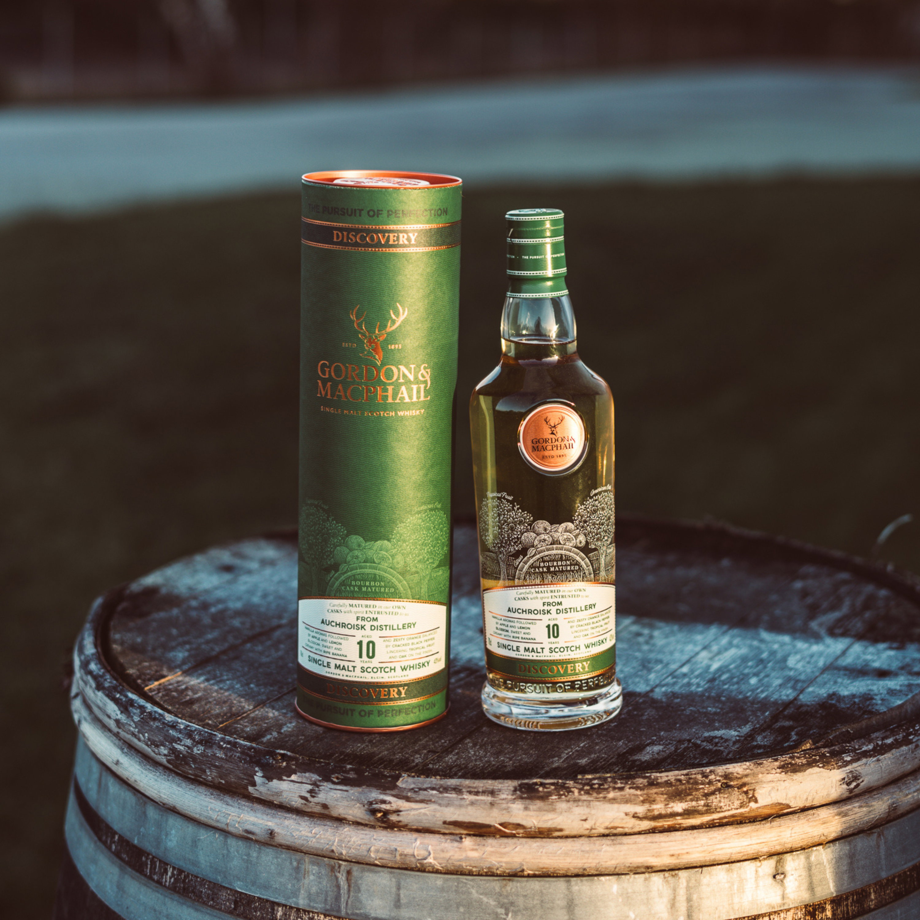 Auchroisk 10 y.o. G&M Discovery