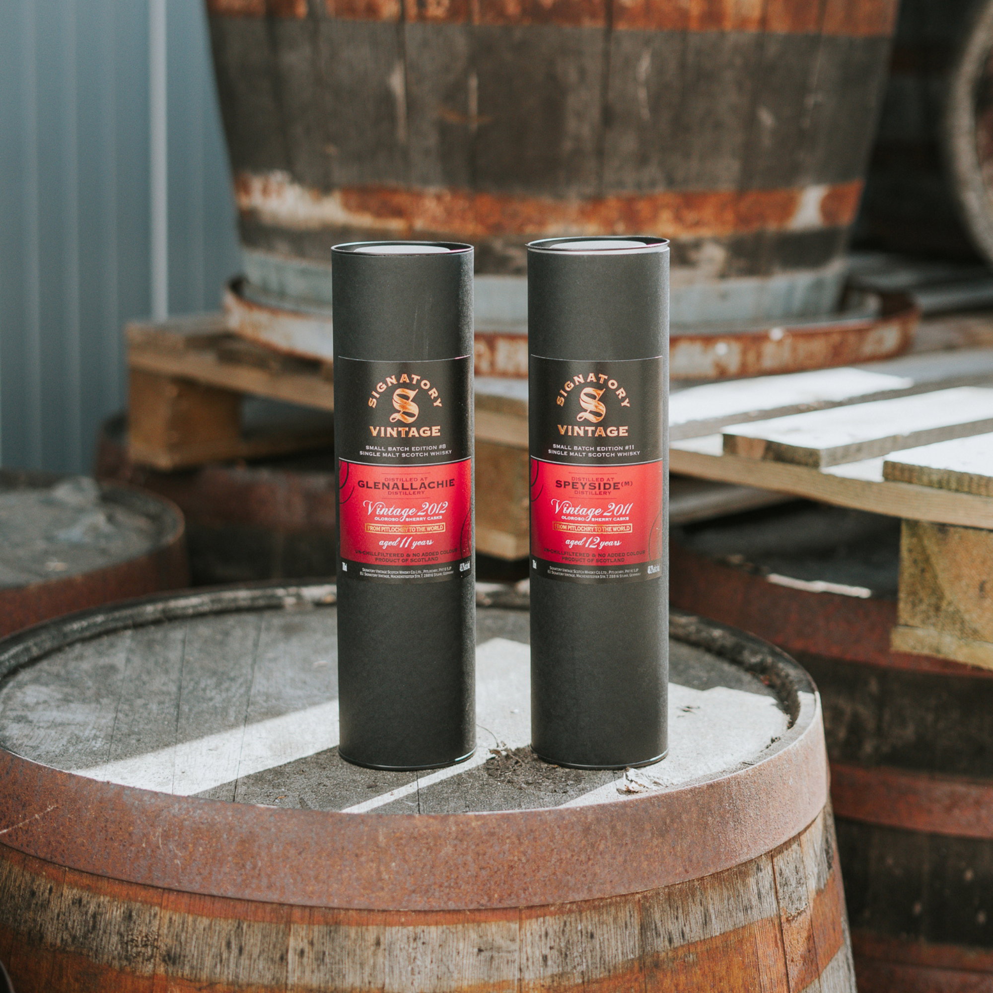 Glenallachie 2012/2024 - 11 y.o. - Signatory Small Batch Edition #8