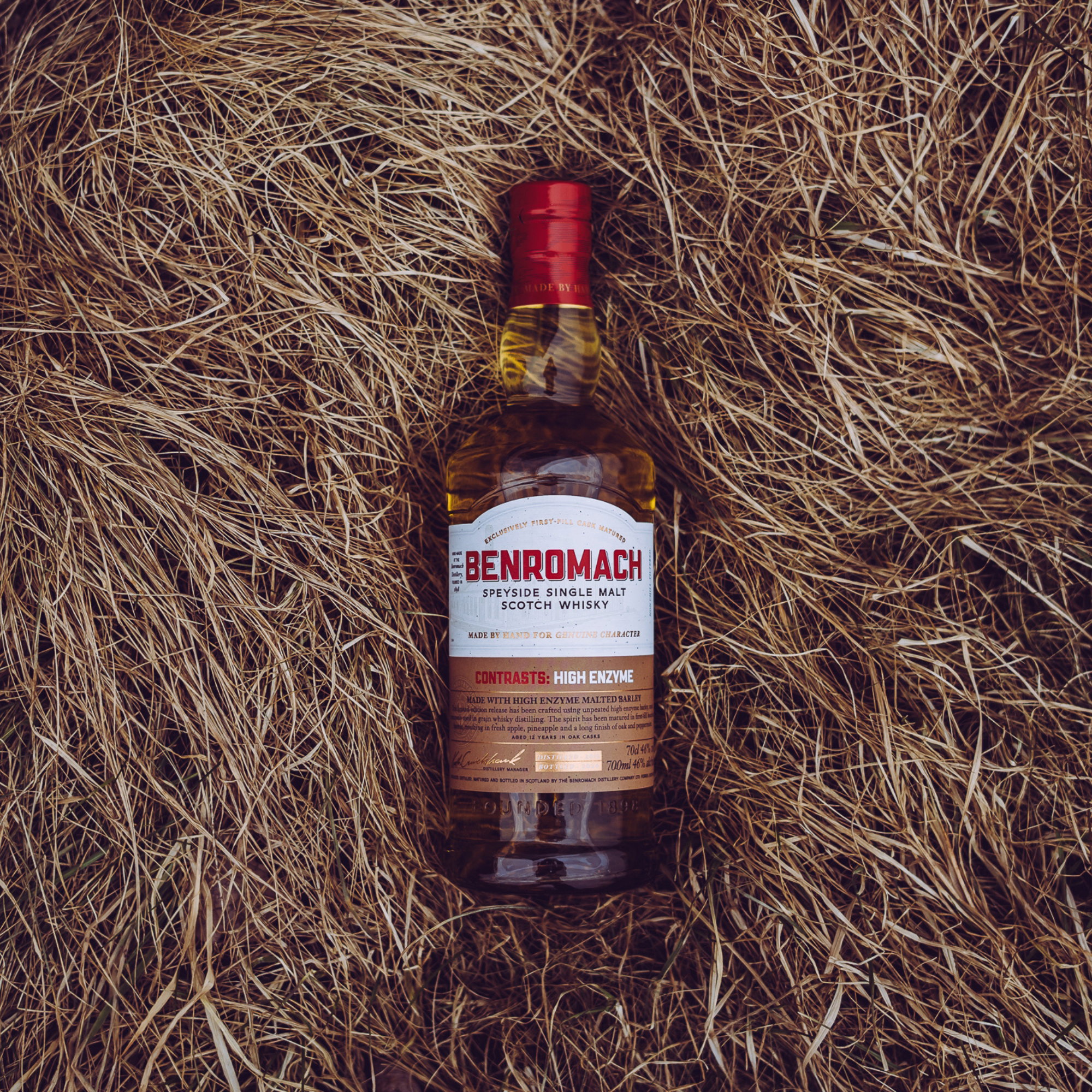 Benromach Contrasts: High Enzyme – 2012/2024 – 1st Fill Bourbon Barrels