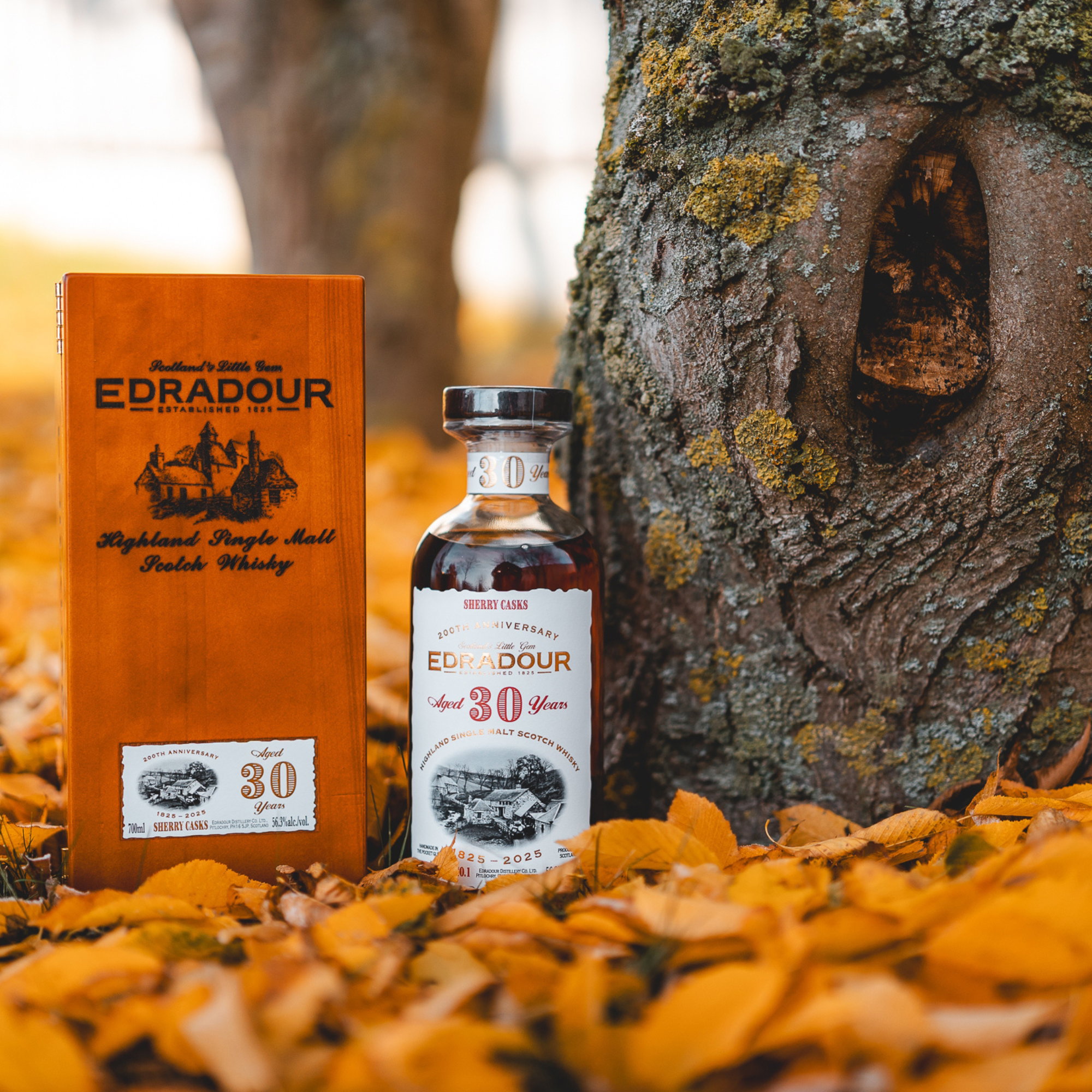 Edradour 1995/2025 - 30 y.o. - 1st Fill Sherry Butts #2101+2109 - Batch #1 - 200th Anniversary
