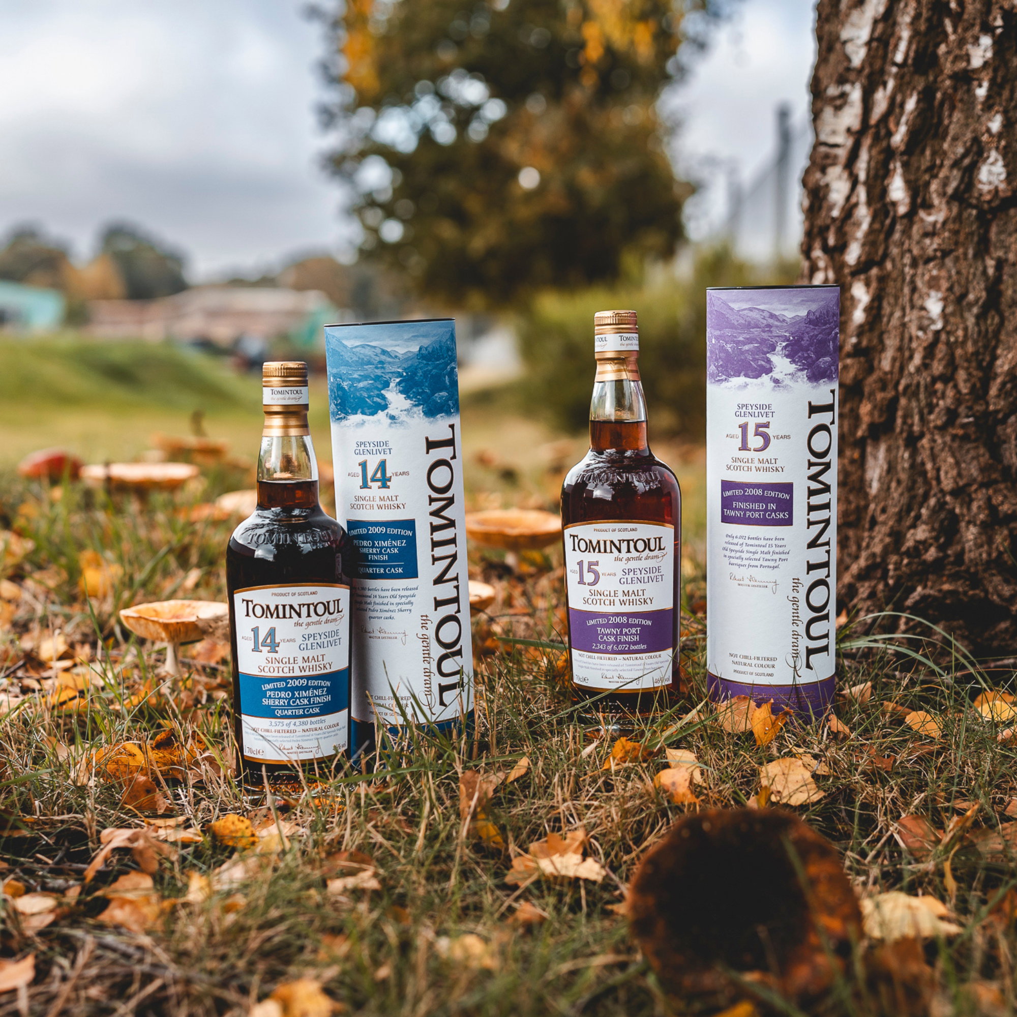 Tomintoul 2008 - 15 y.o. - Tawny Port Cask Finish