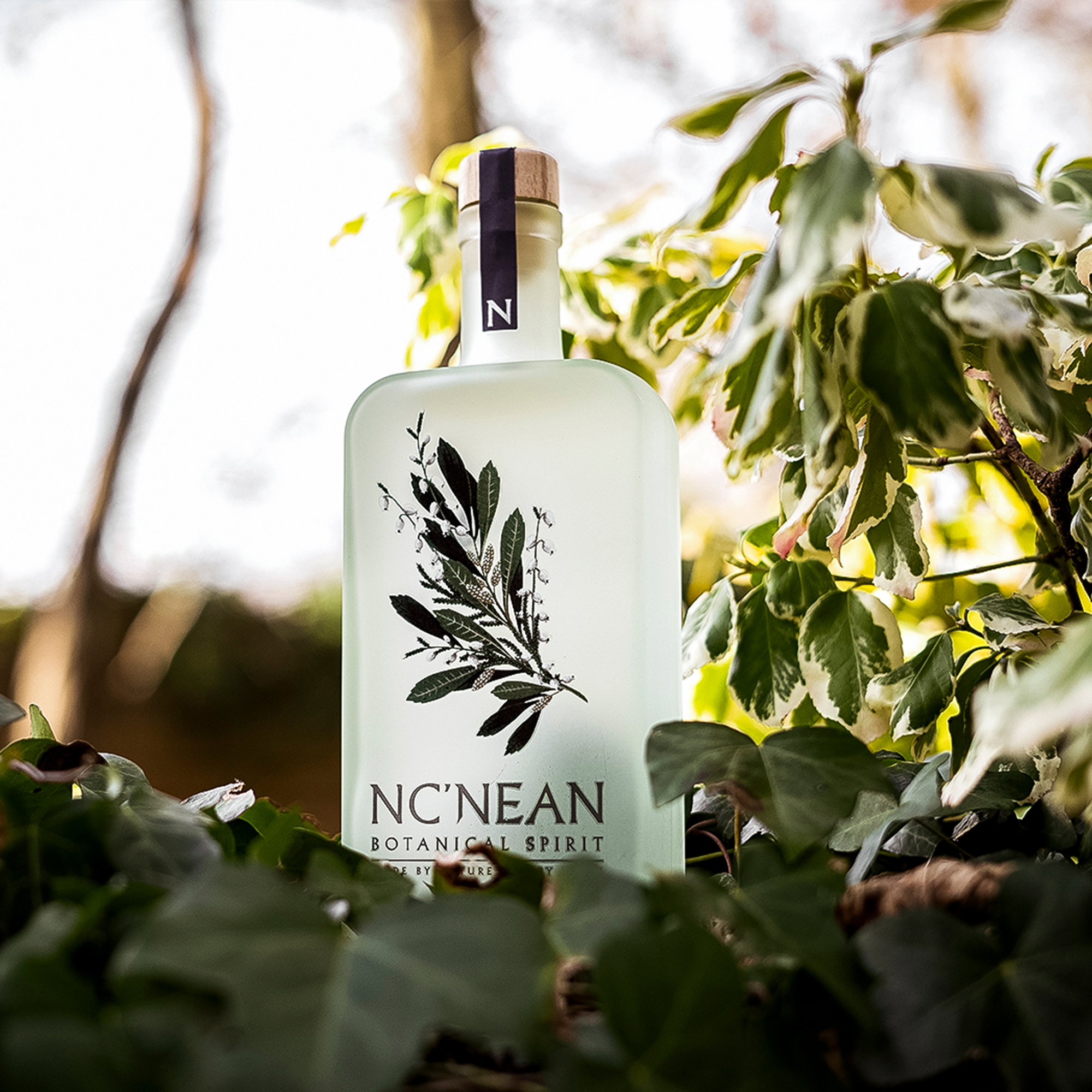 Nc'nean Botanical Spirit