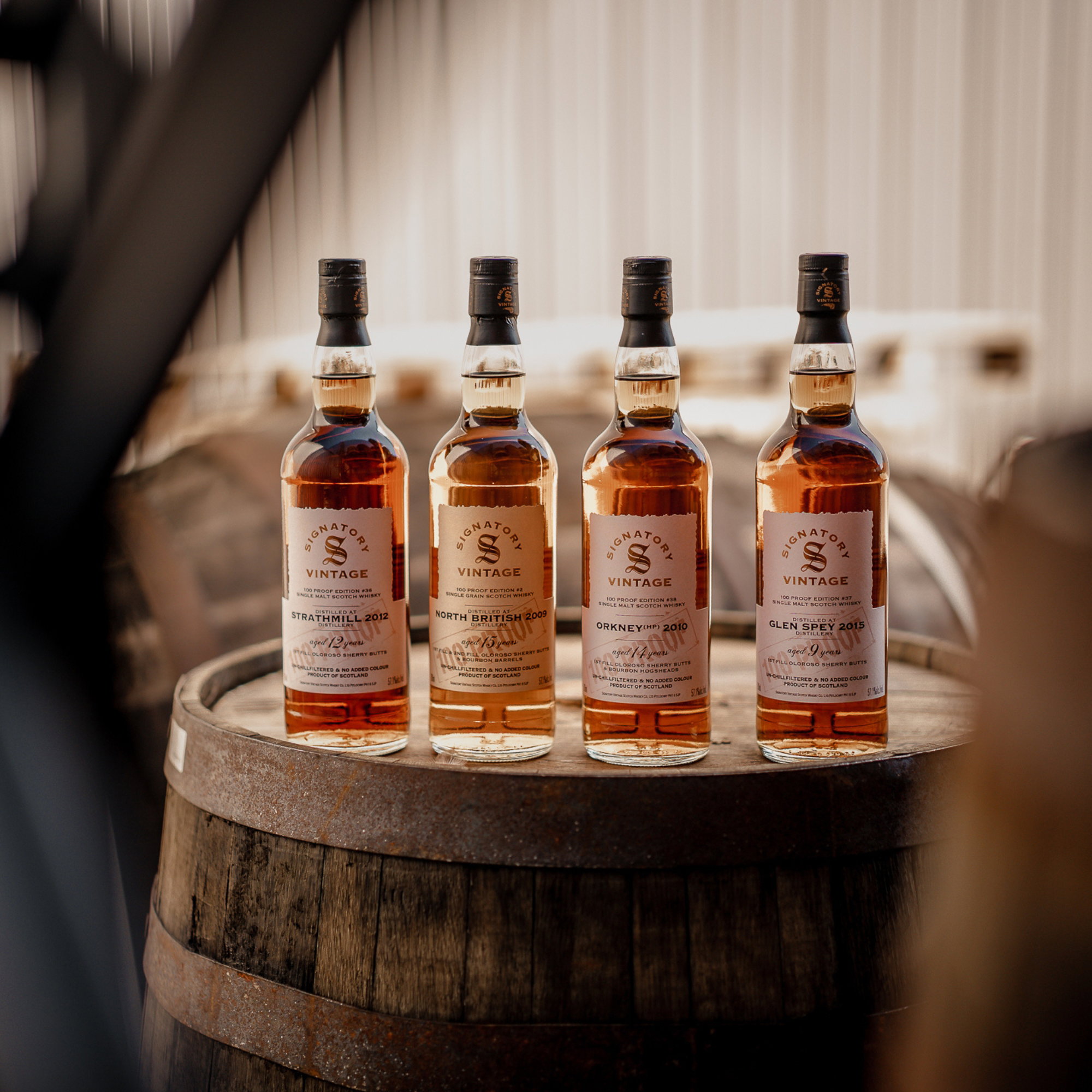 Glen Spey 2015/2025 - 9 y.o. - Signatory 100 PROOF Edition #37